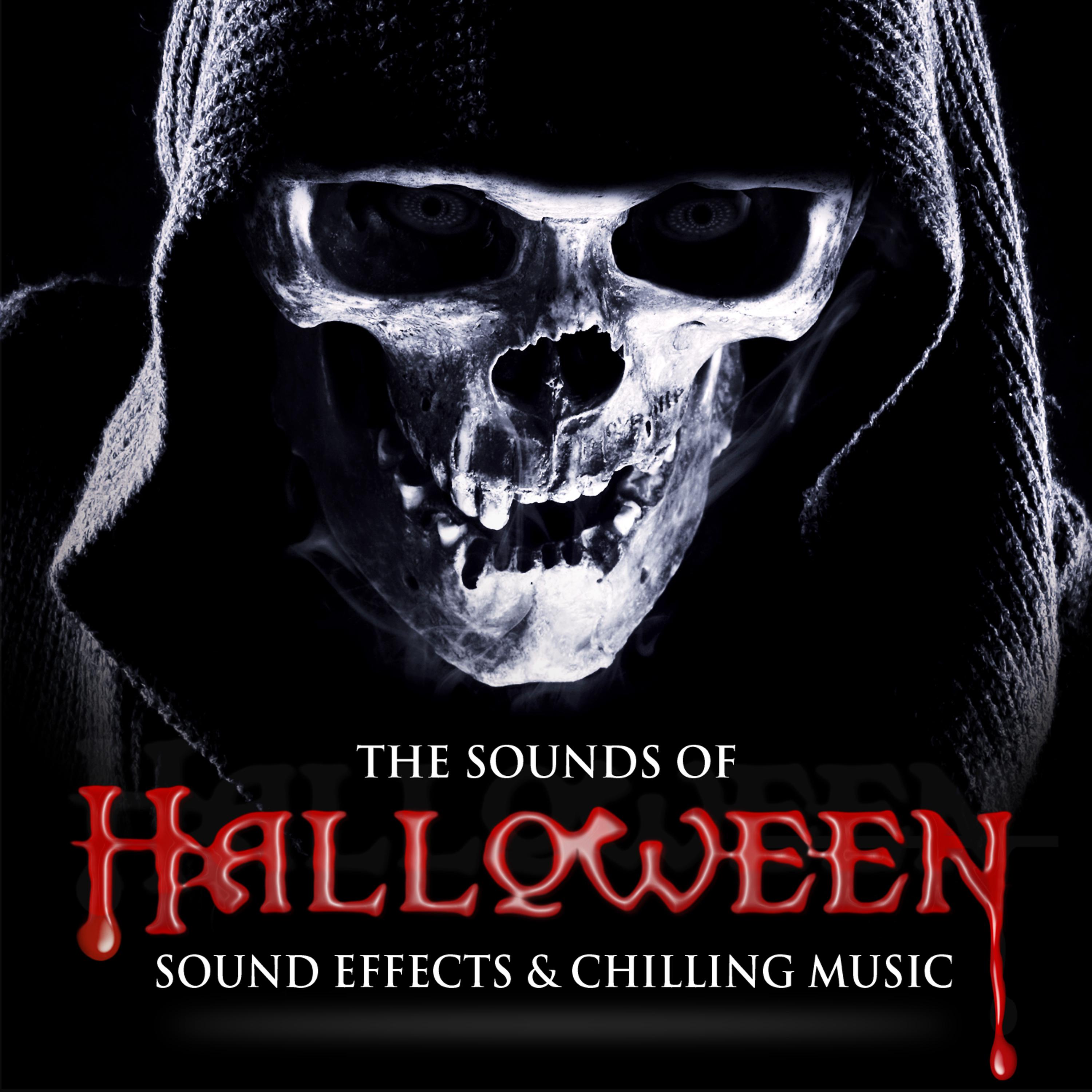 Постер альбома The Sounds of Halloween: Sound Effects & Chilling Music