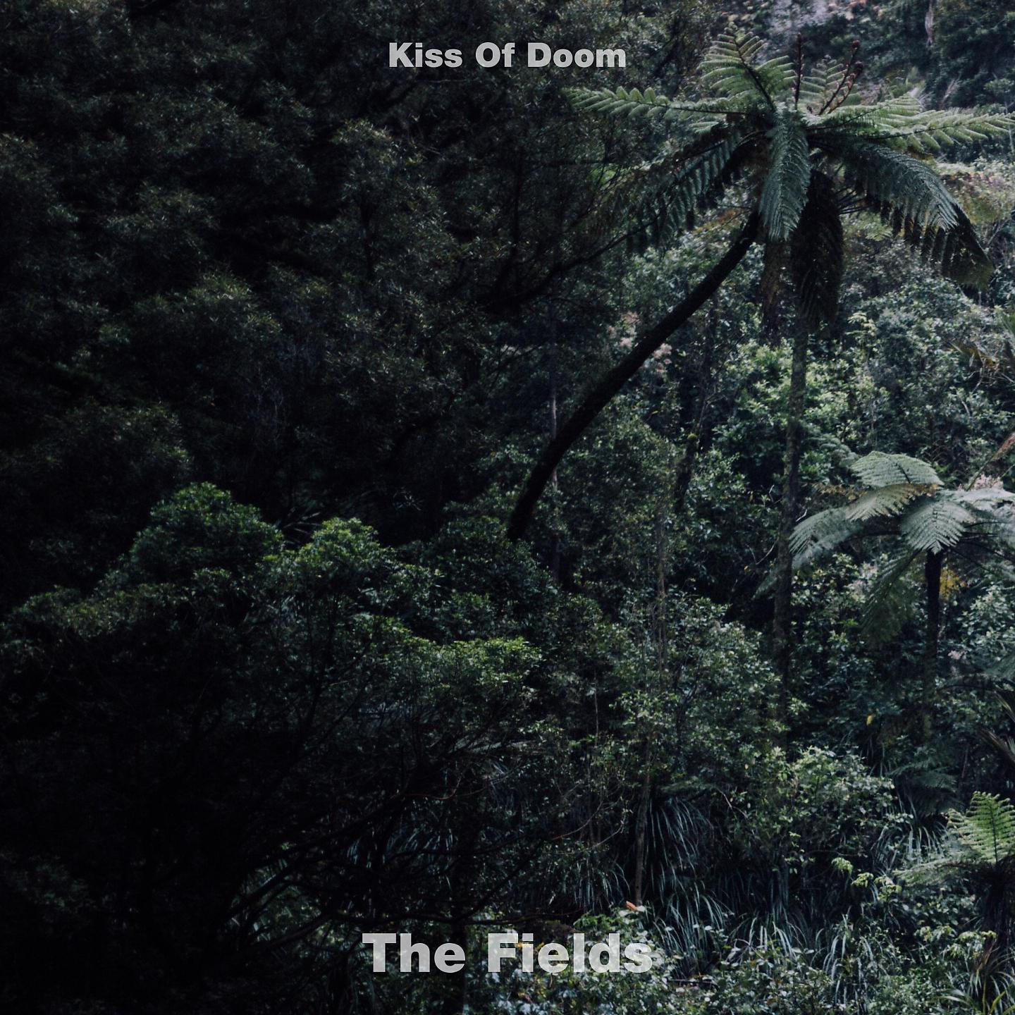 Постер альбома The Fields