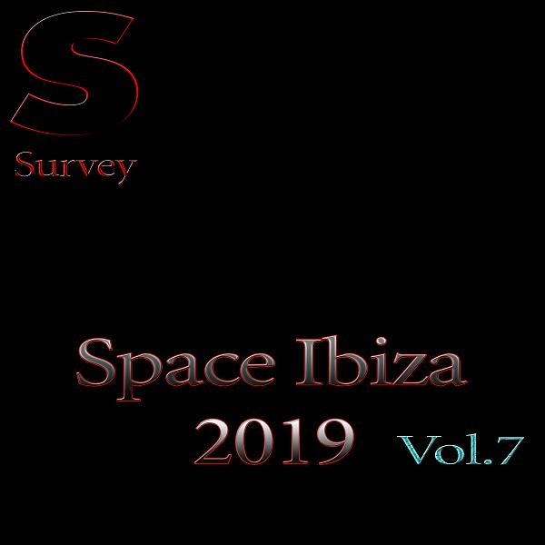 Постер альбома Space Ibiza 2019, Vol.7