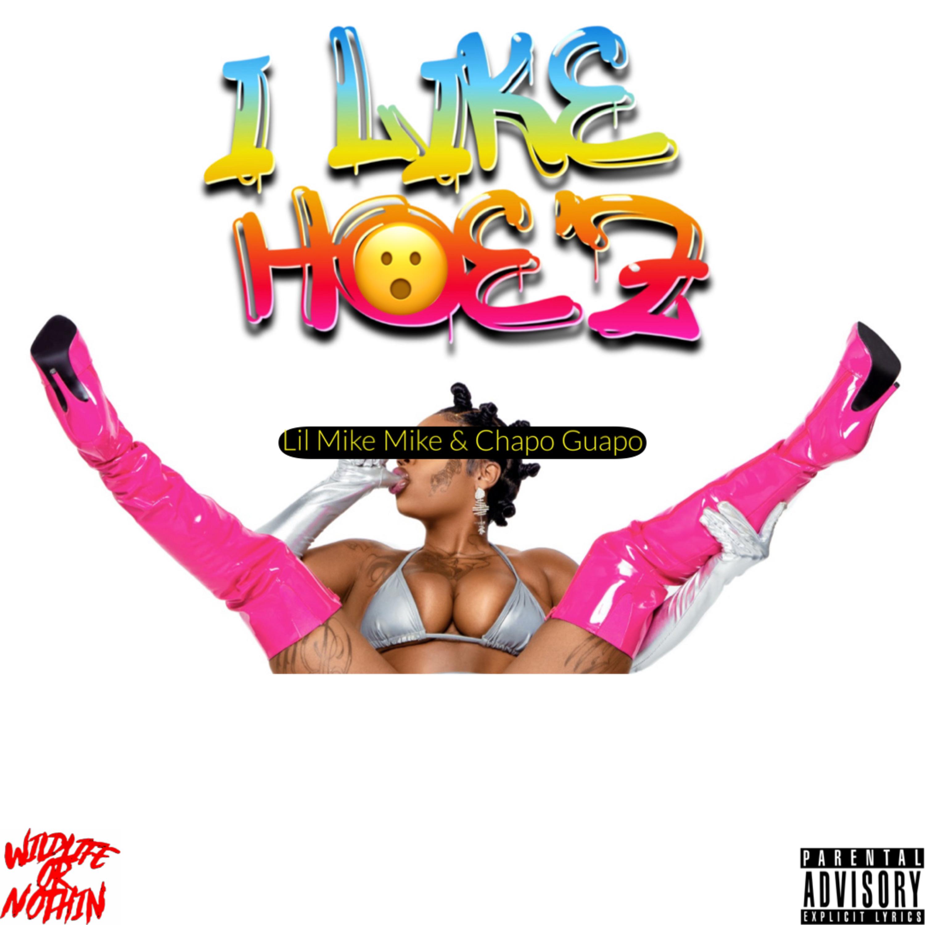 Постер альбома I Like Hoez (feat. Chapo Guapo)