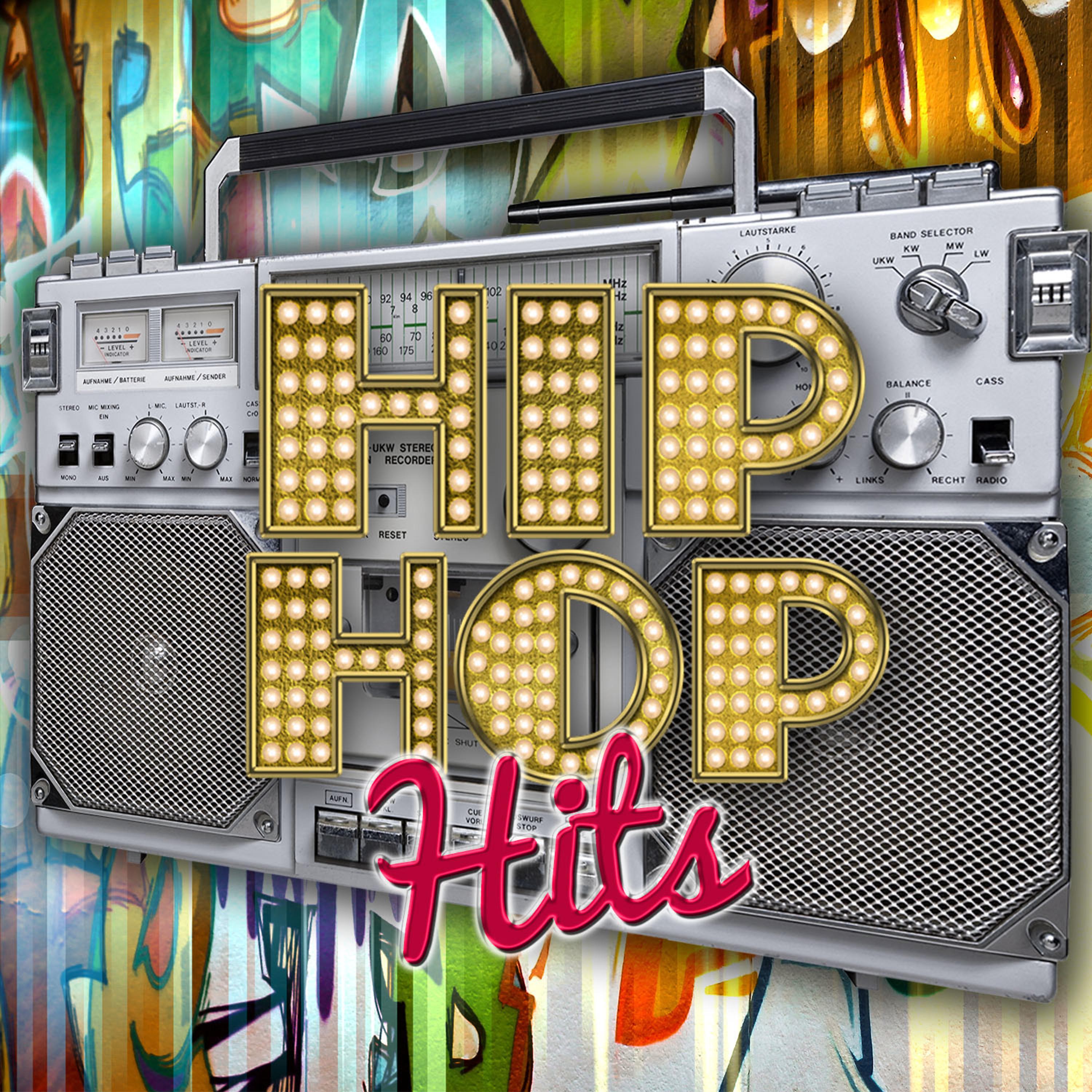 Постер альбома Hip Hop Hits