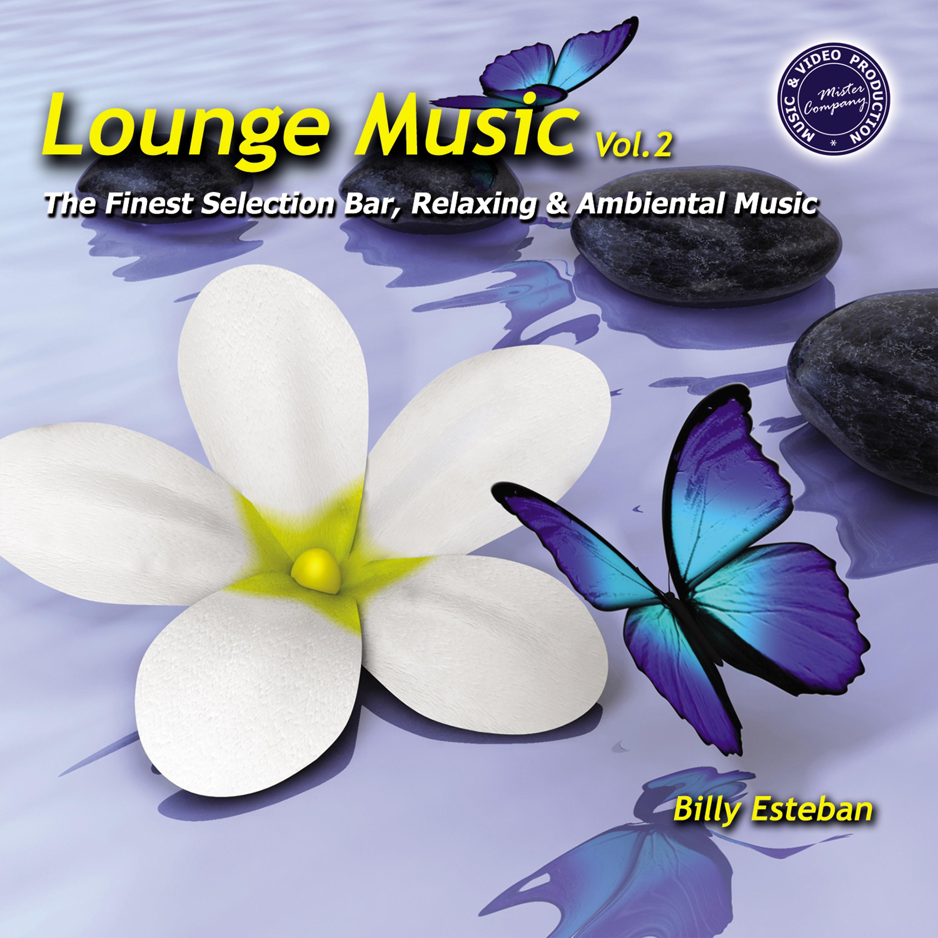 Постер альбома Lounge Music, Vol. 2