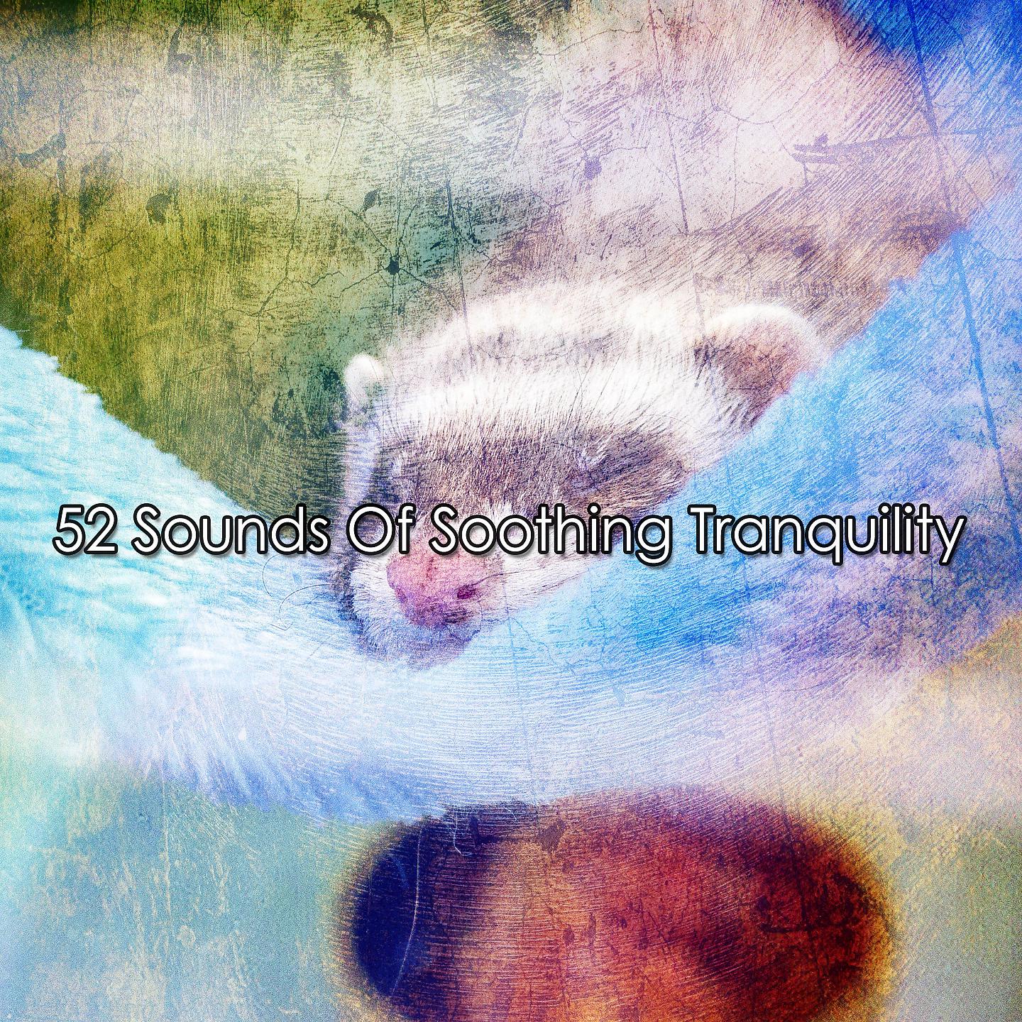 Постер альбома 52 звука успокаивающего спокойствия