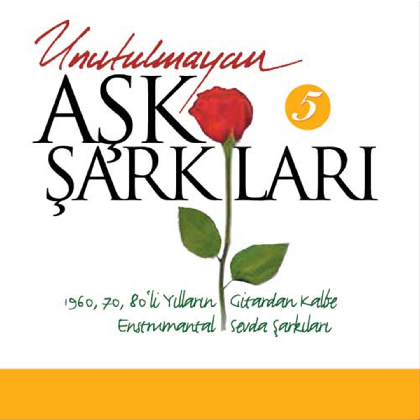 Постер альбома Unutulmayan Aşk Şarkıları, Vol. 5