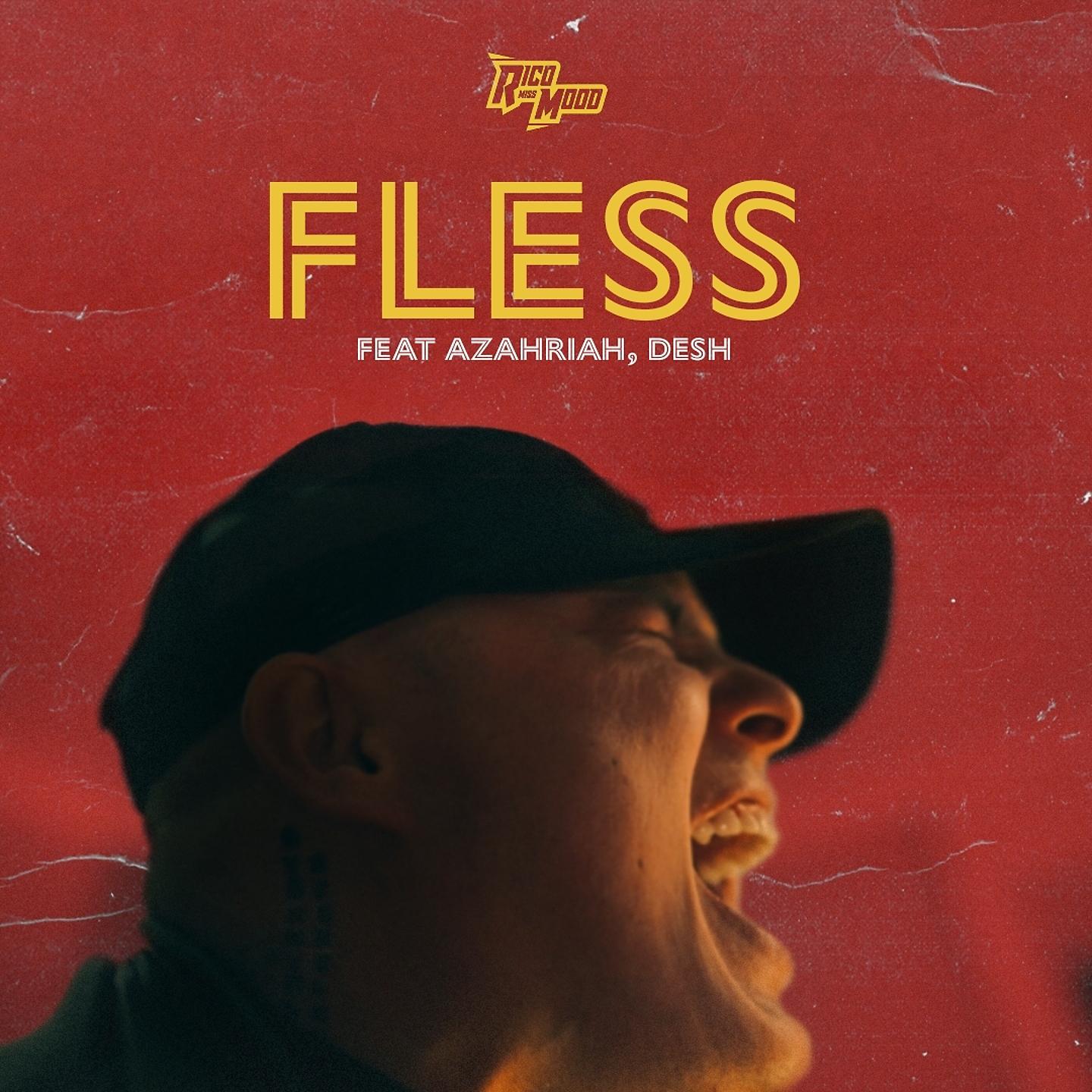 Постер альбома Fless
