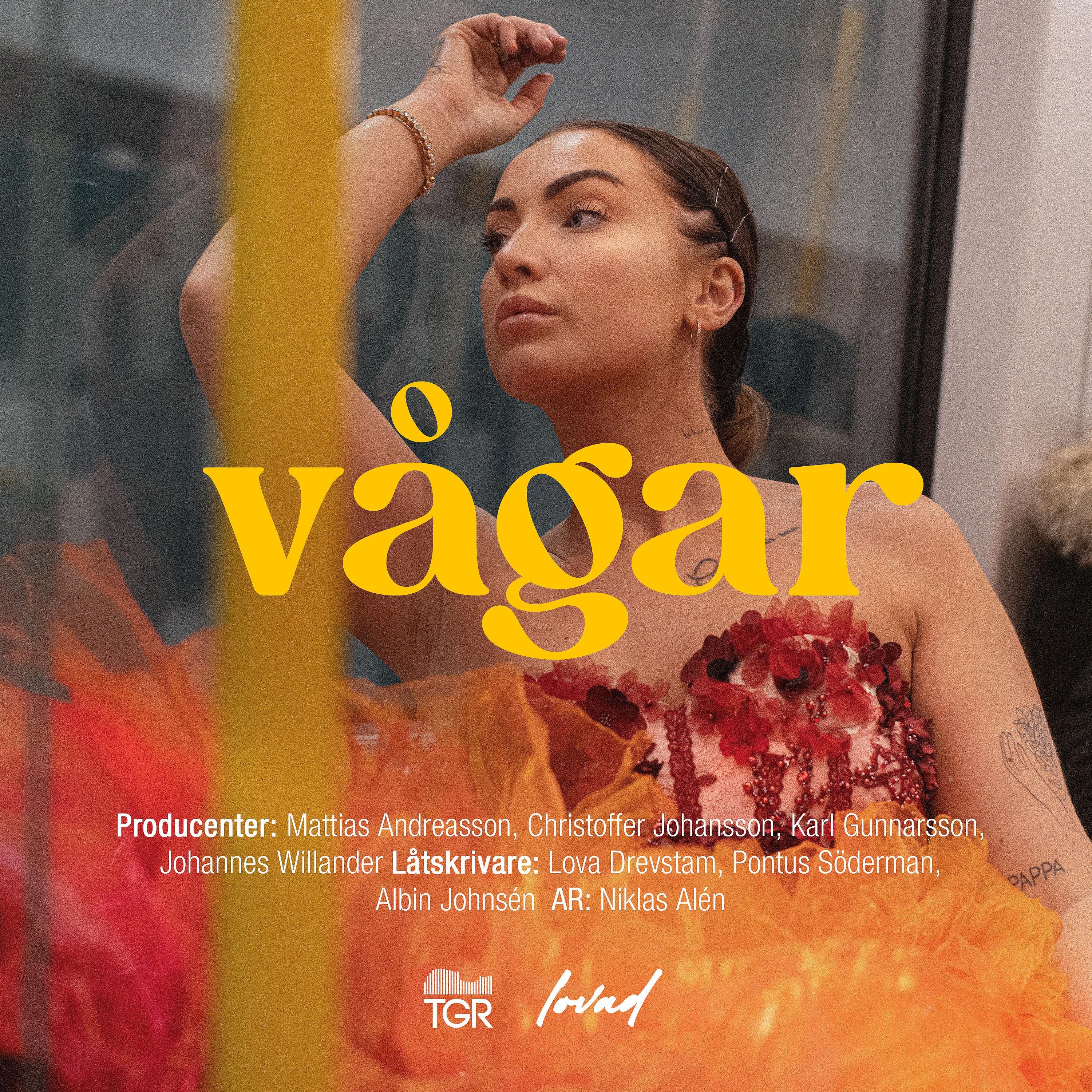 Постер альбома Vågar