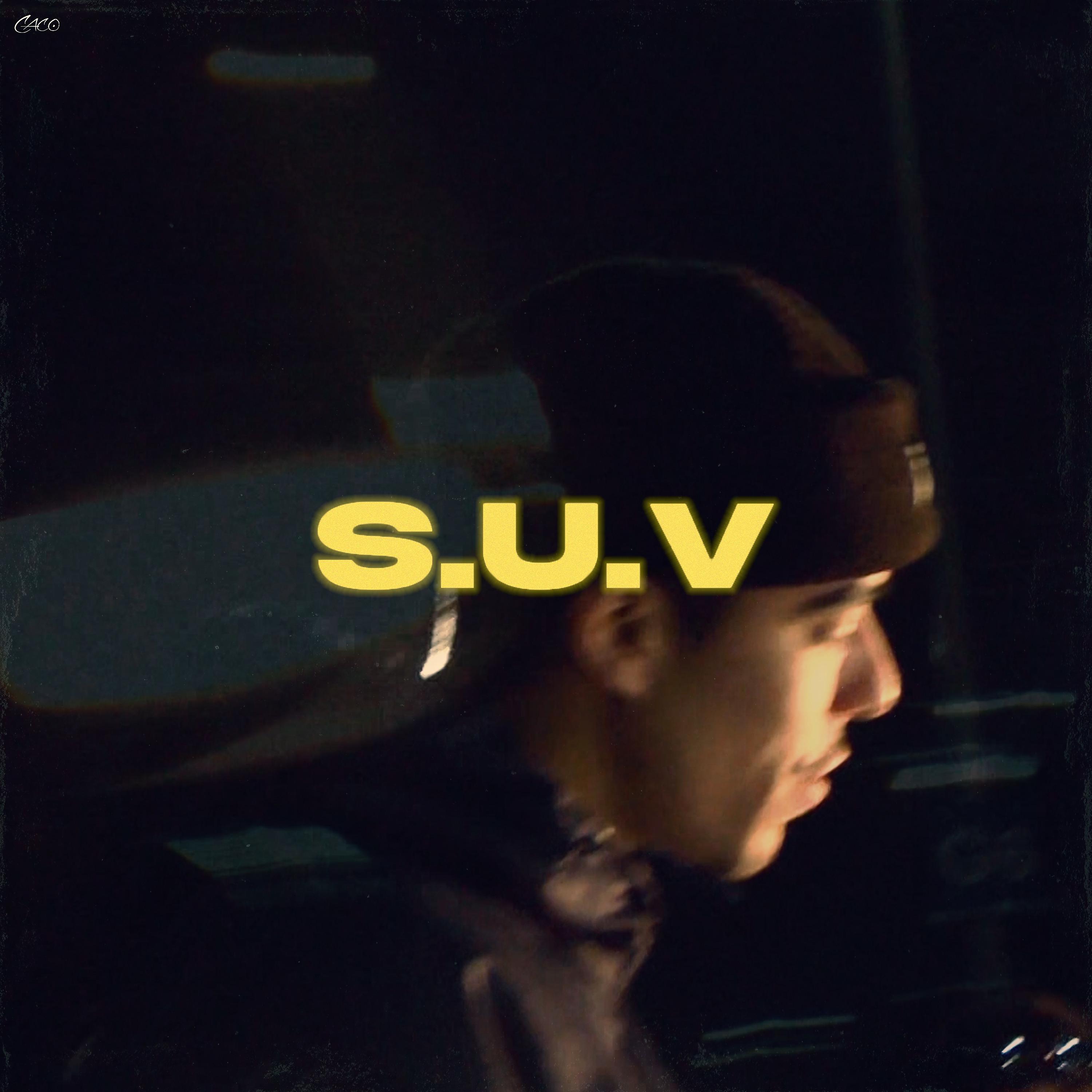 Постер альбома Suv