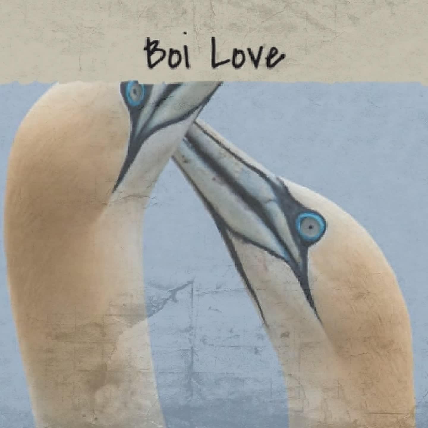 Постер альбома Boi Love