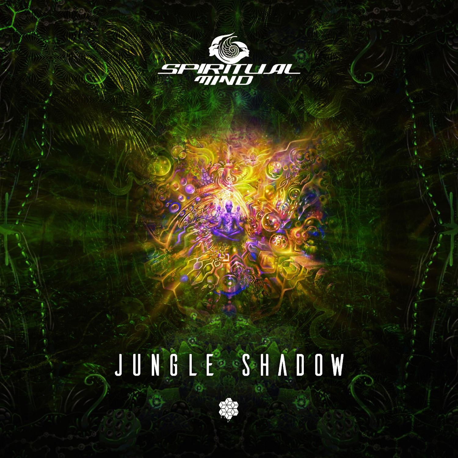 Постер альбома Jungle Shadow