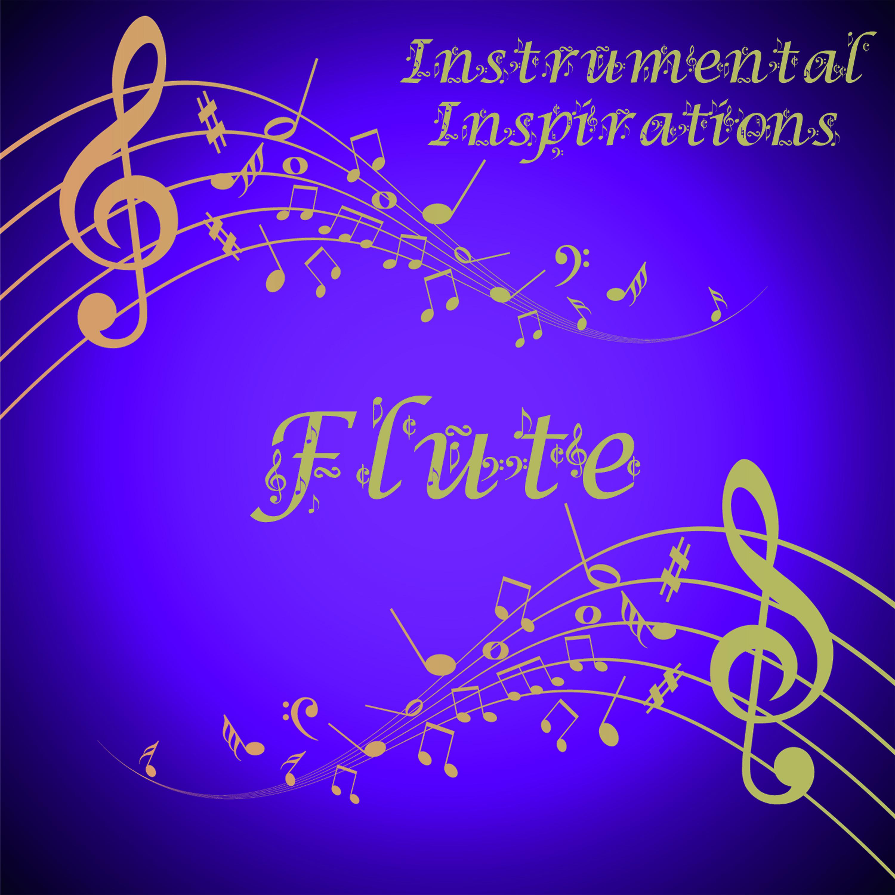 Постер альбома Instrumental Inspirations of Flute