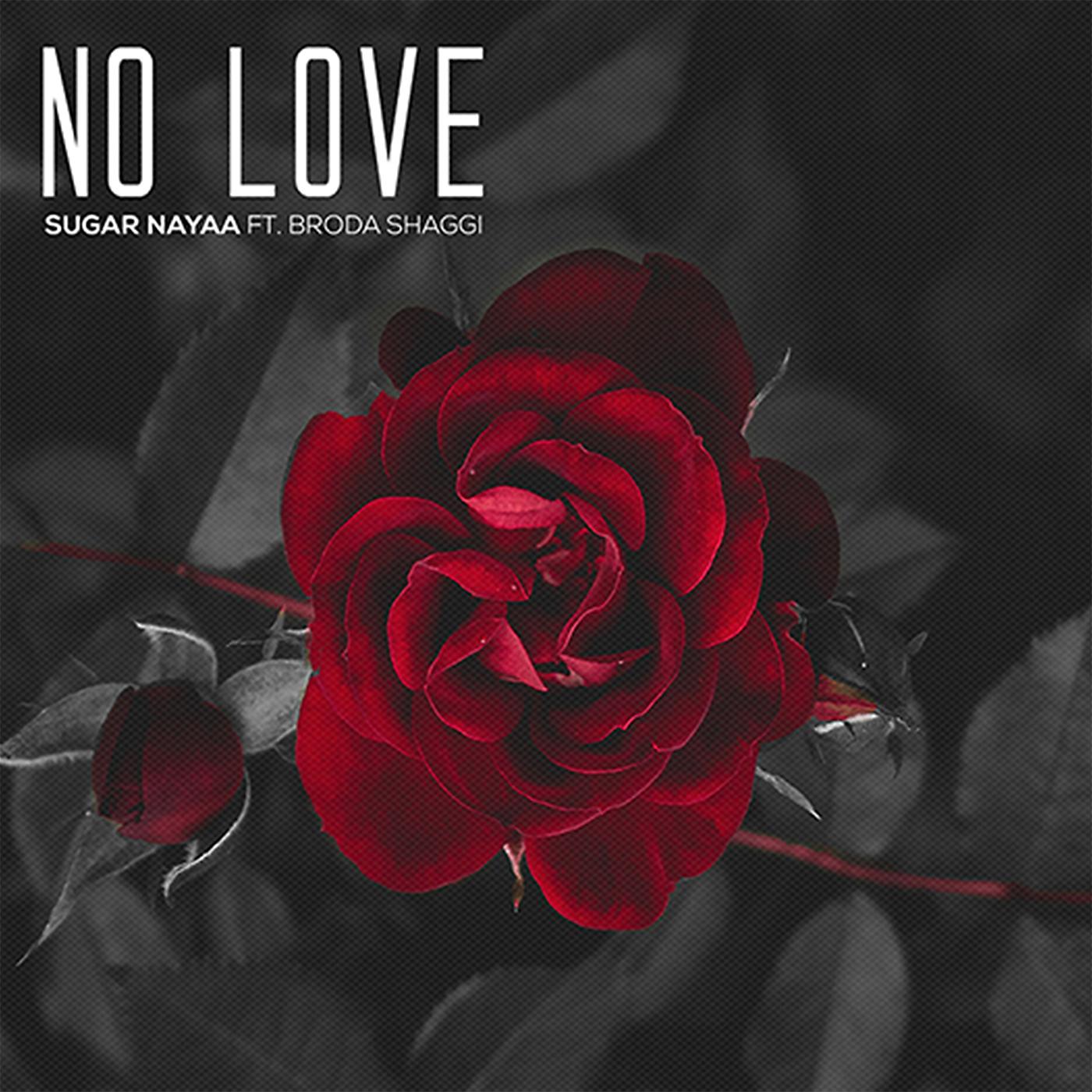 Постер альбома No Love (feat. Broda Shaggi)