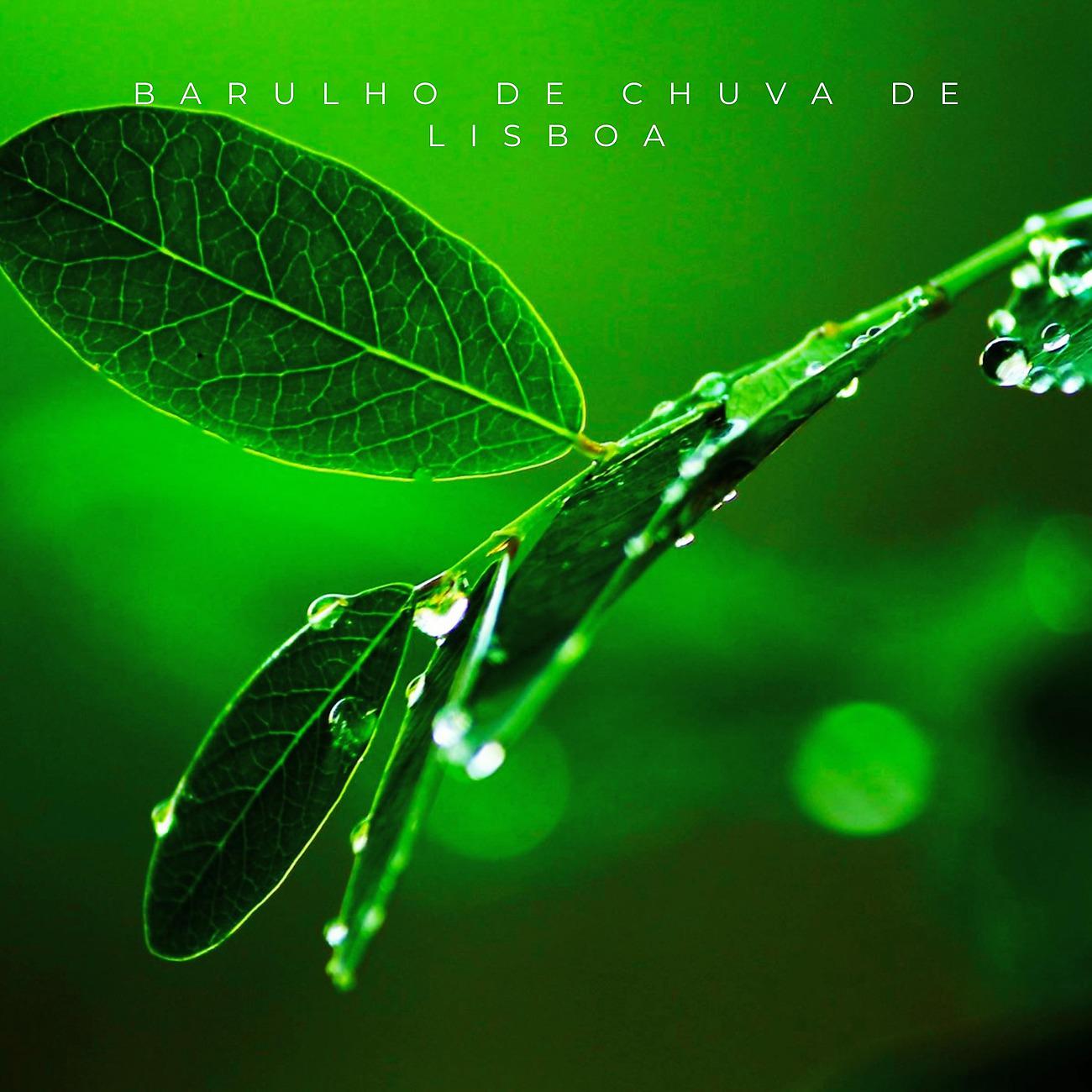 Постер альбома Barulho de Chuva De Lisboa