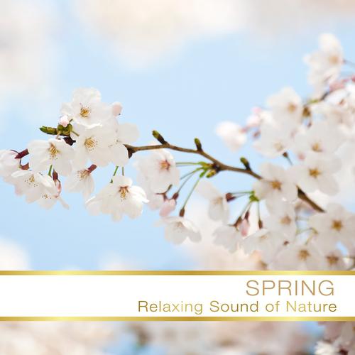 Постер альбома Spring Relax