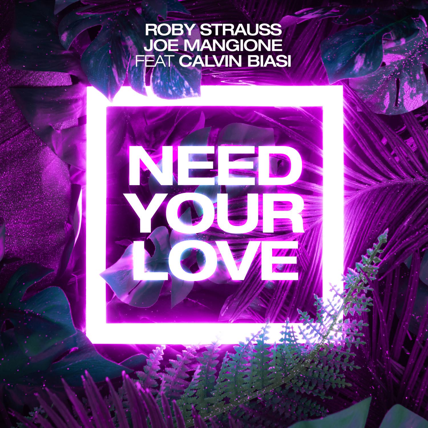 Постер альбома Need Your Love (feat. Calvin Biasi)