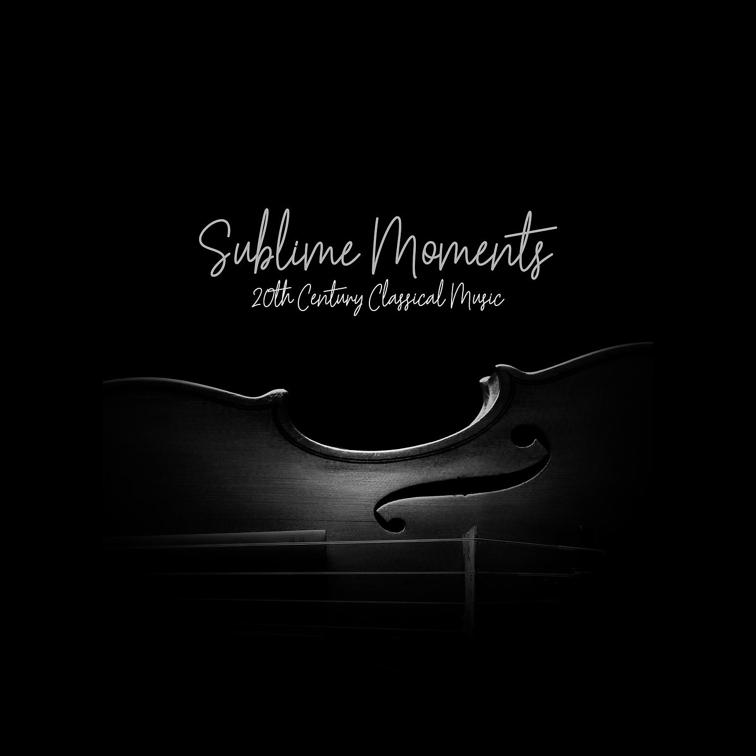 Постер альбома Sublime Moments - 20th Century Classical Music