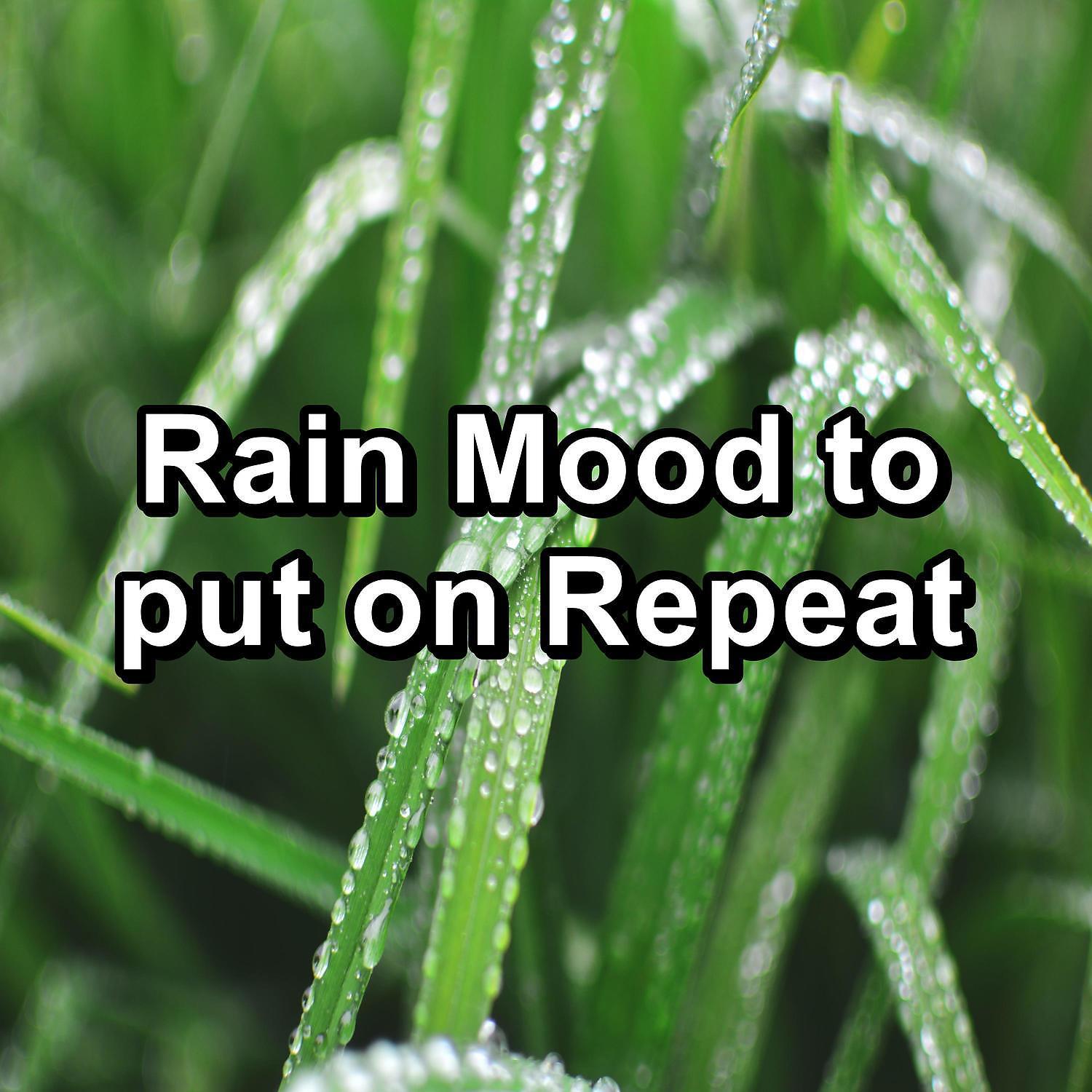 Постер альбома Rain Mood to put on Repeat
