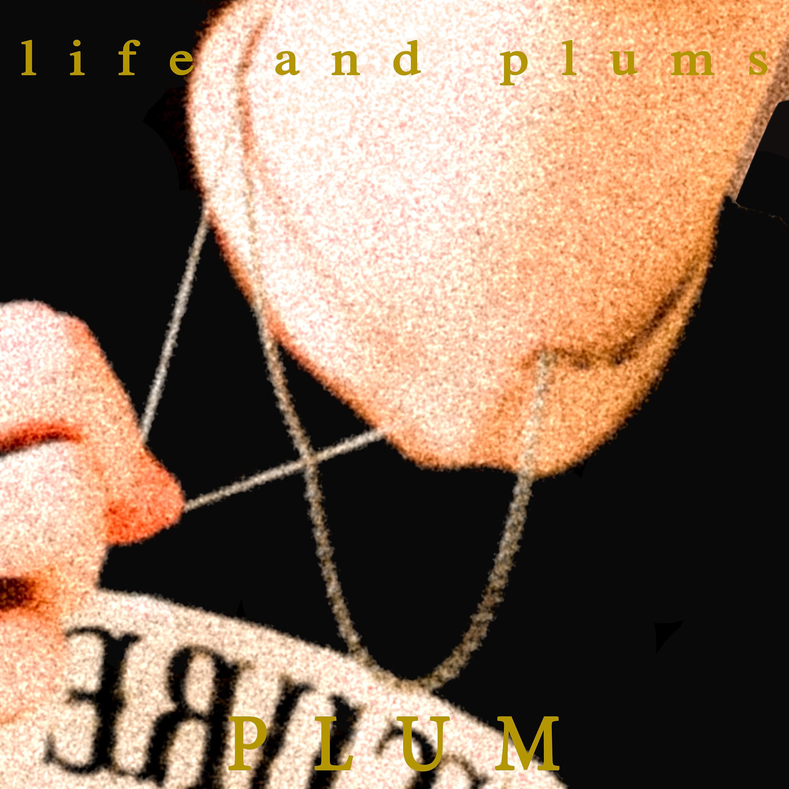 Постер альбома Life and Plums