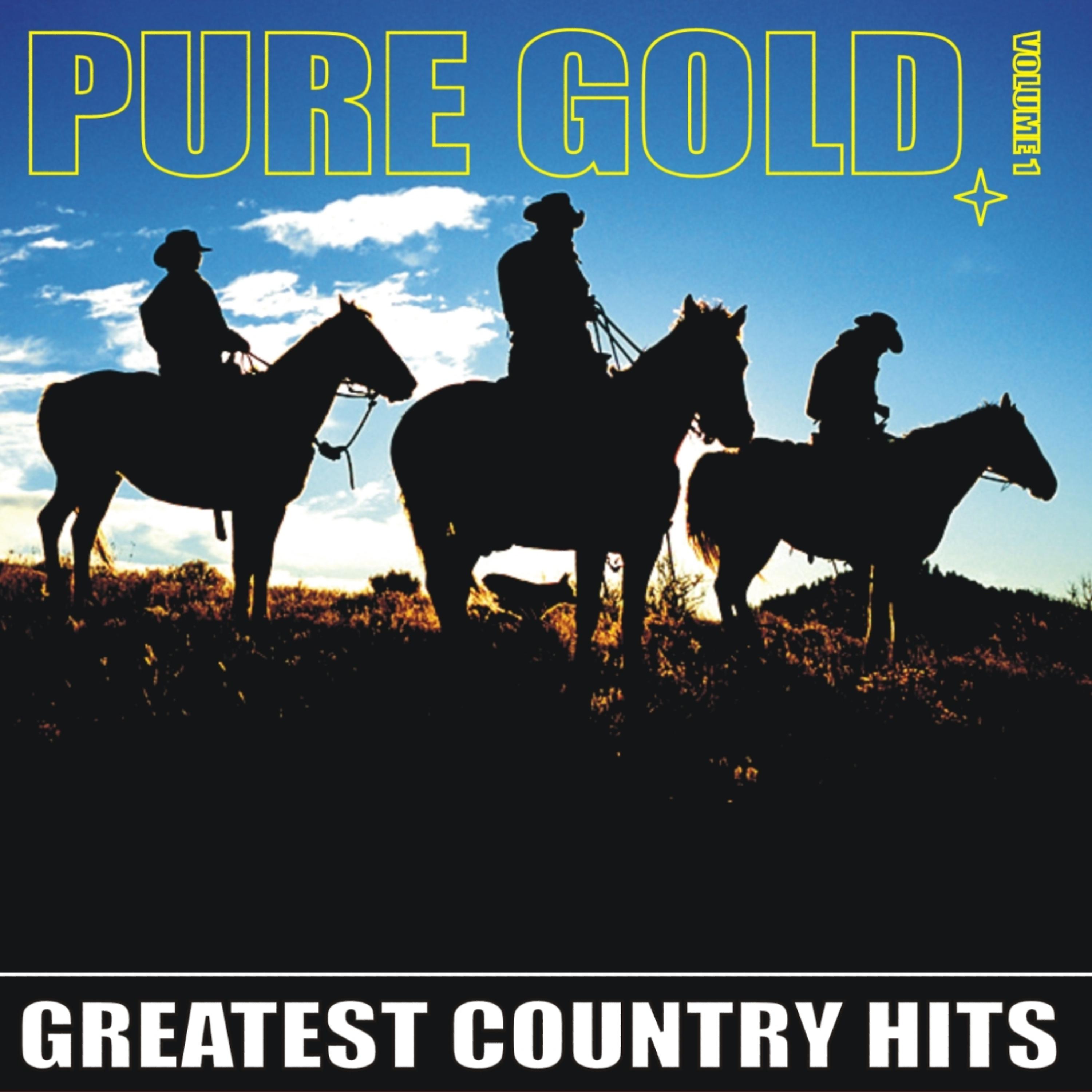 Постер альбома Pure Gold - Greatest Country Hits, Vol. 1