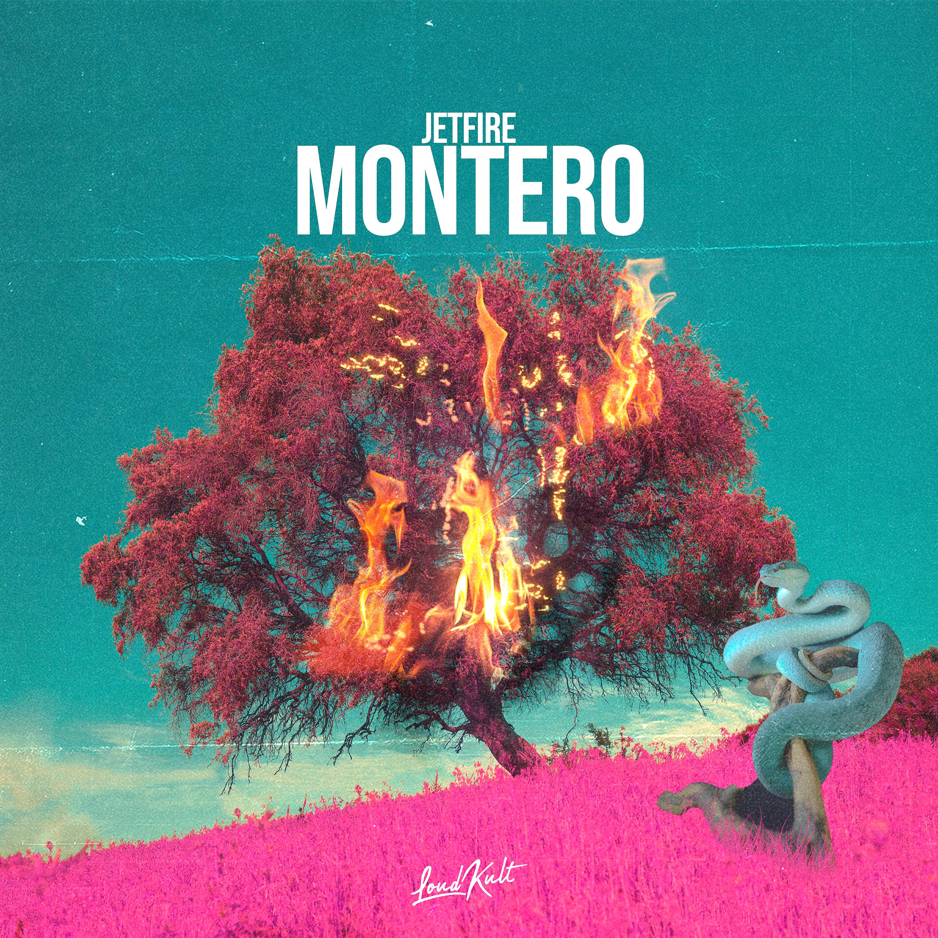 Постер альбома Montero