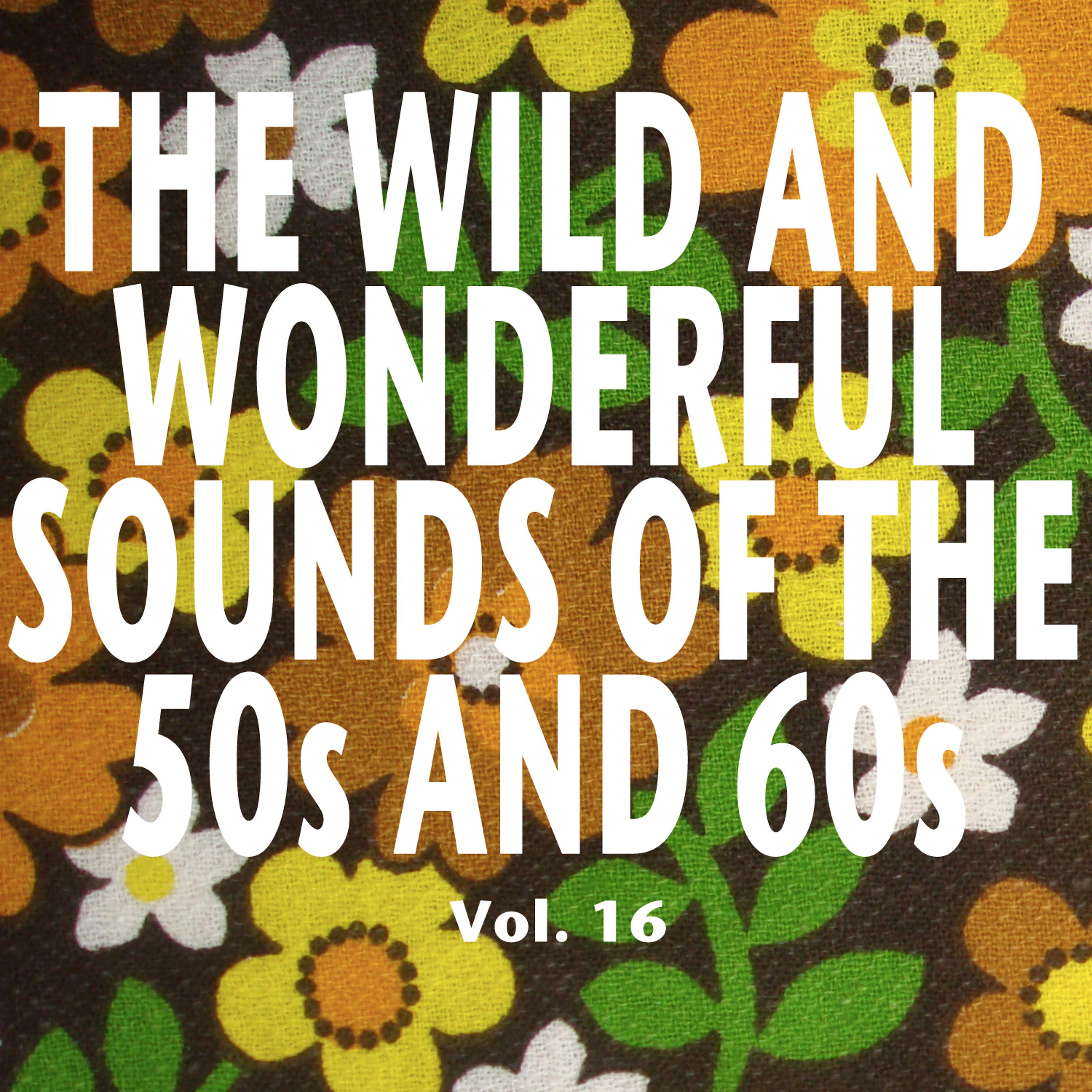 Постер альбома The Wild and Wonderful Sounds of the 50s and 60s, Vol. 16