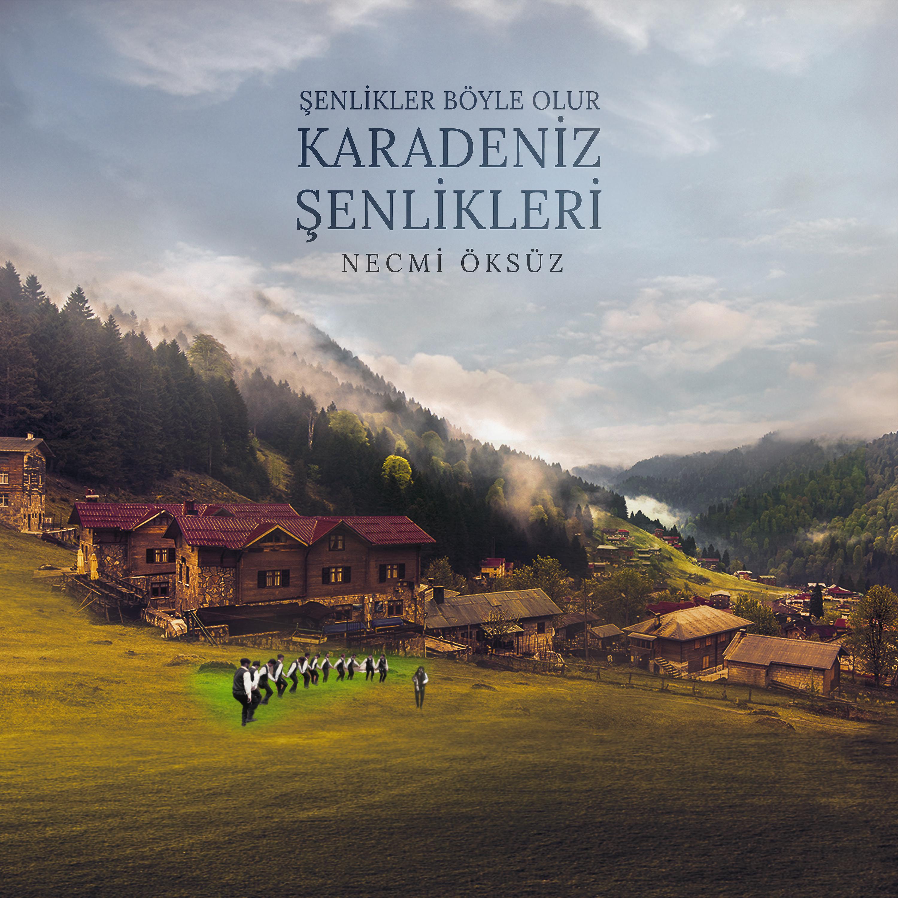 Постер альбома Şenlikler Böyle Olur