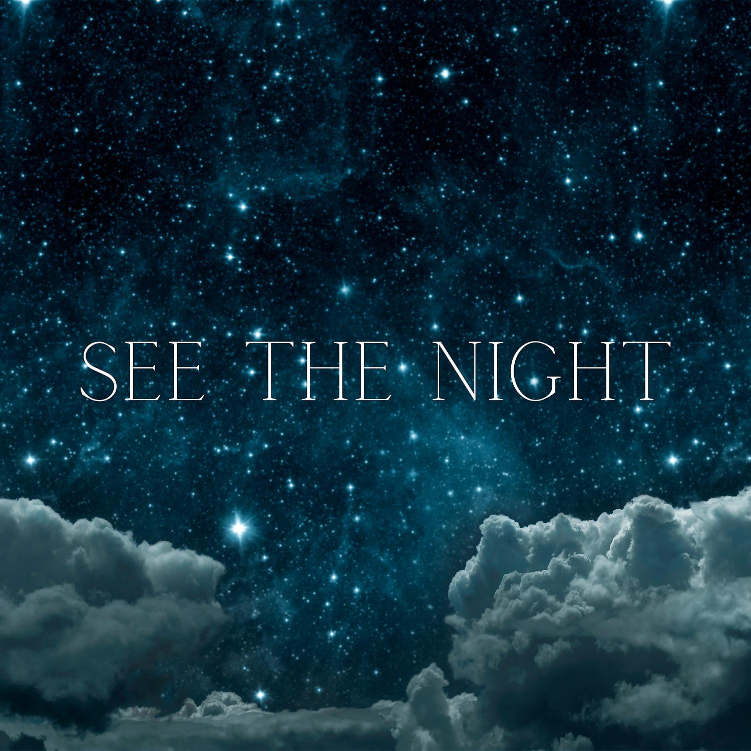 Постер альбома See the Night