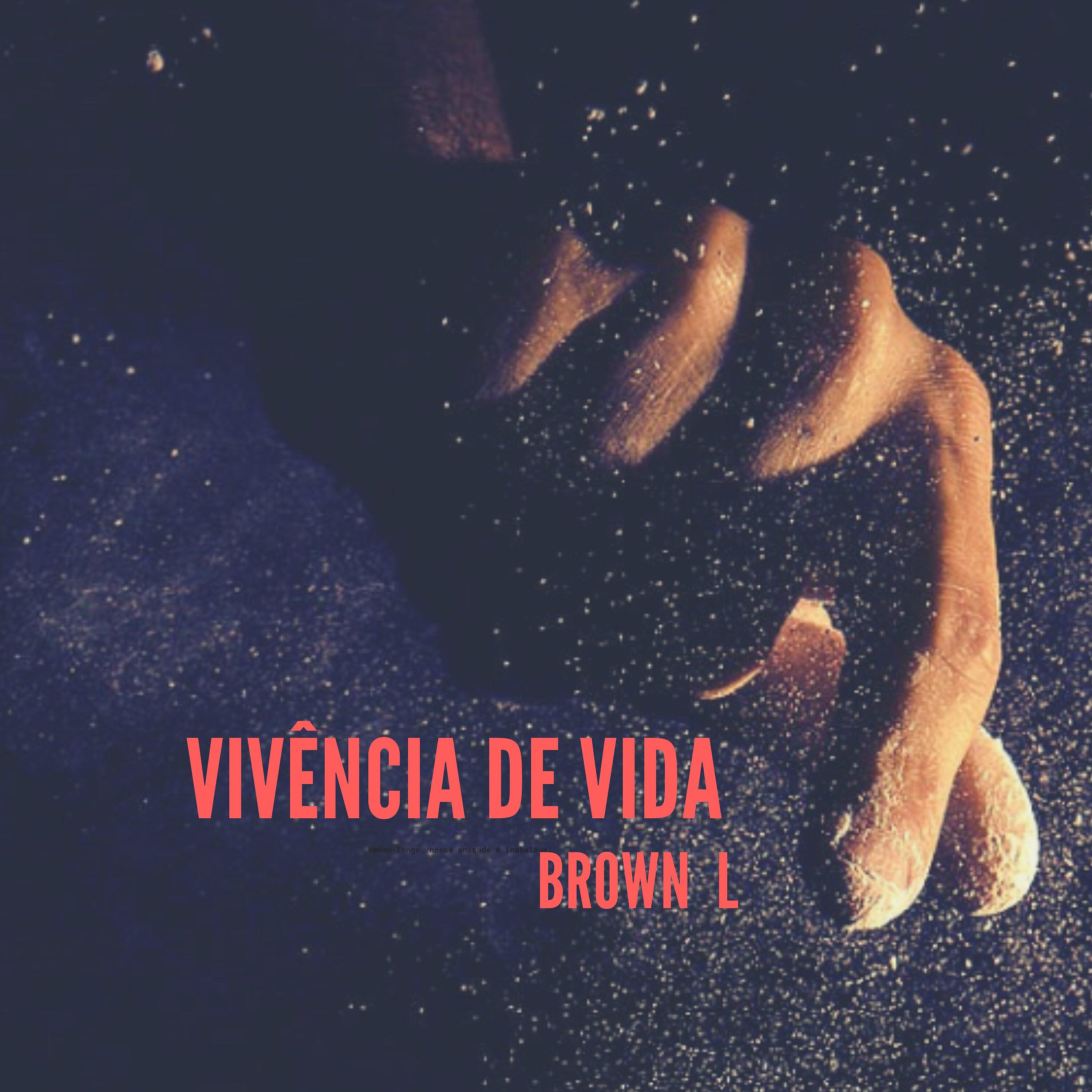 Постер альбома Vivência de Vida