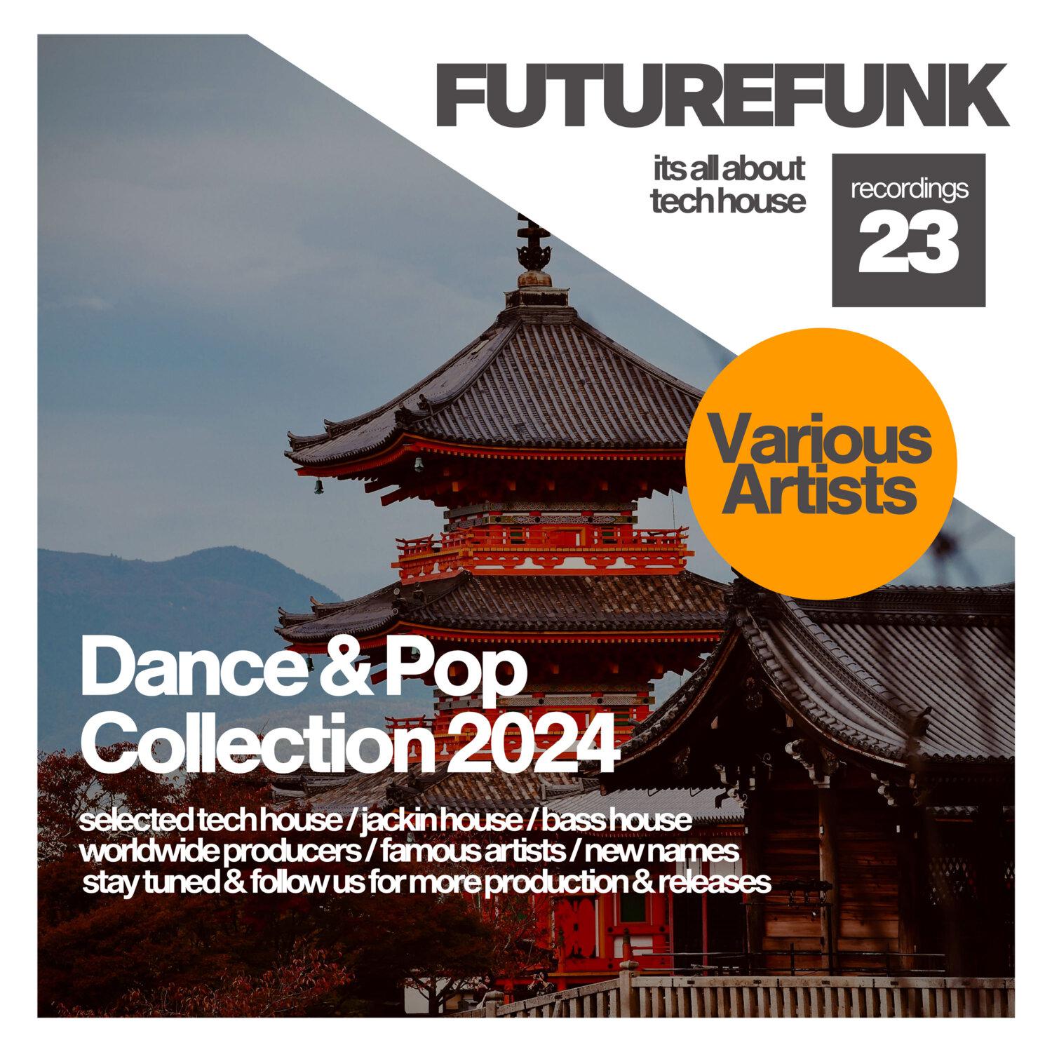 Постер альбома Dance & Pop Collection 2024