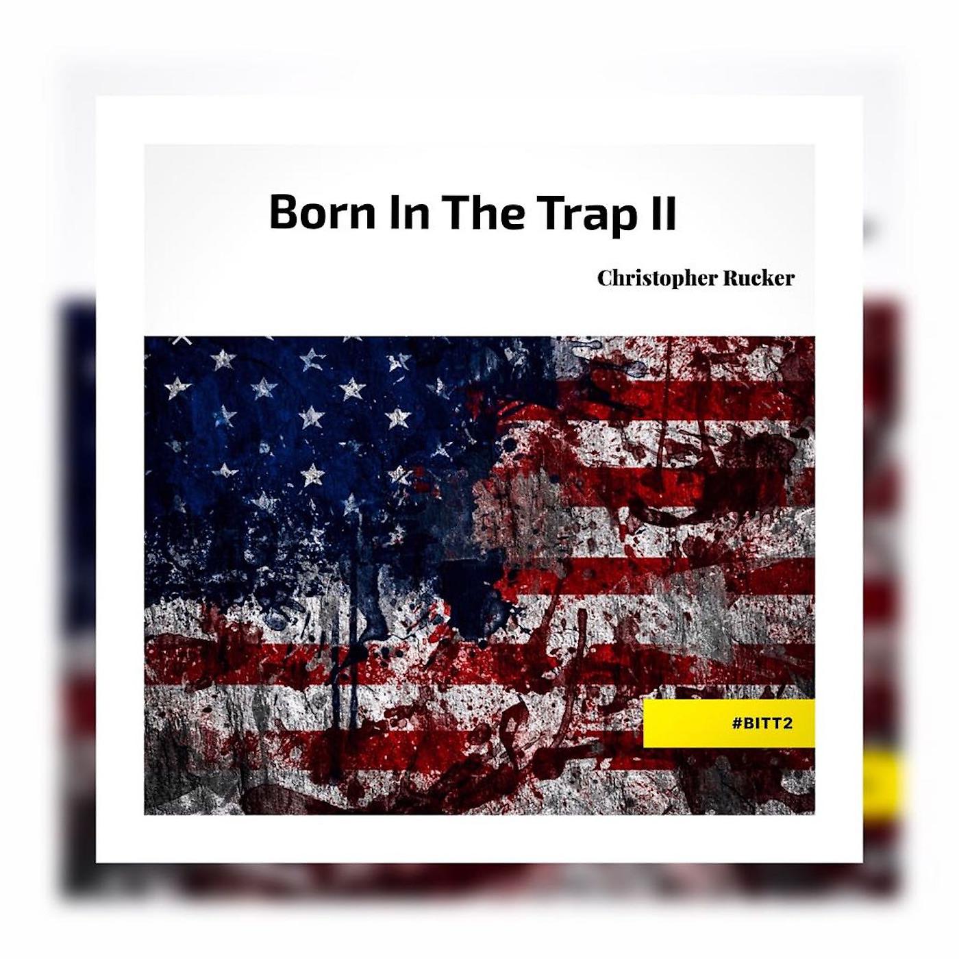 Постер альбома Born in the Trap II