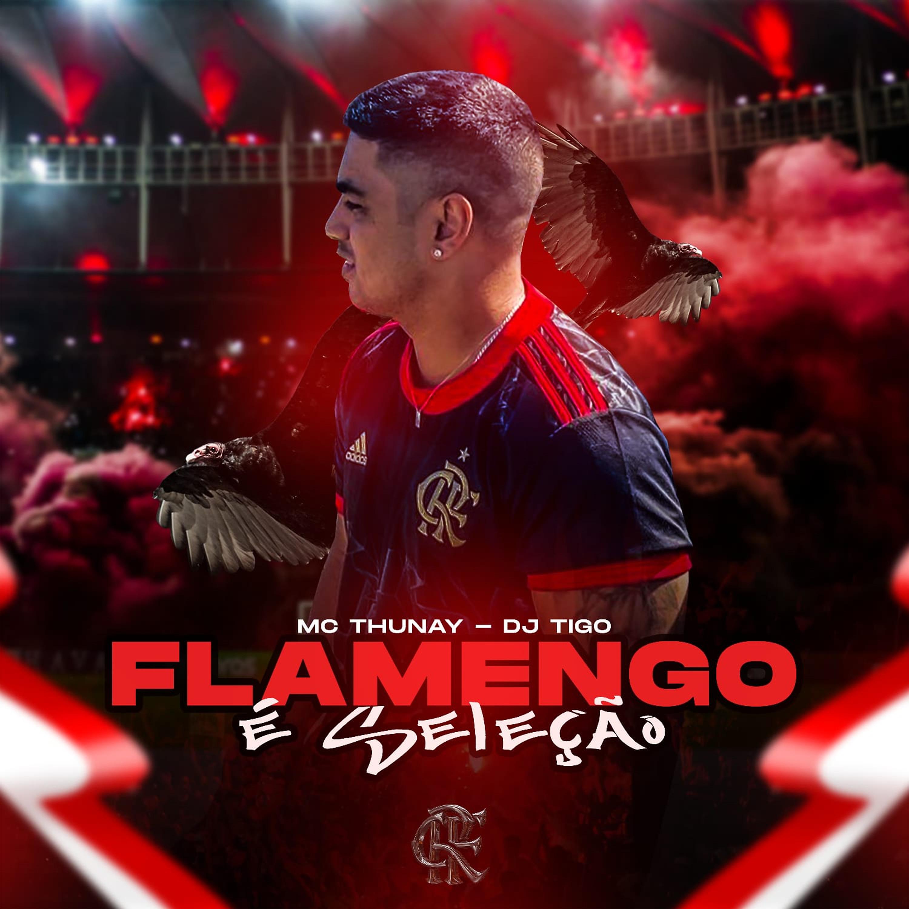 Постер альбома Flamengo É Seleção