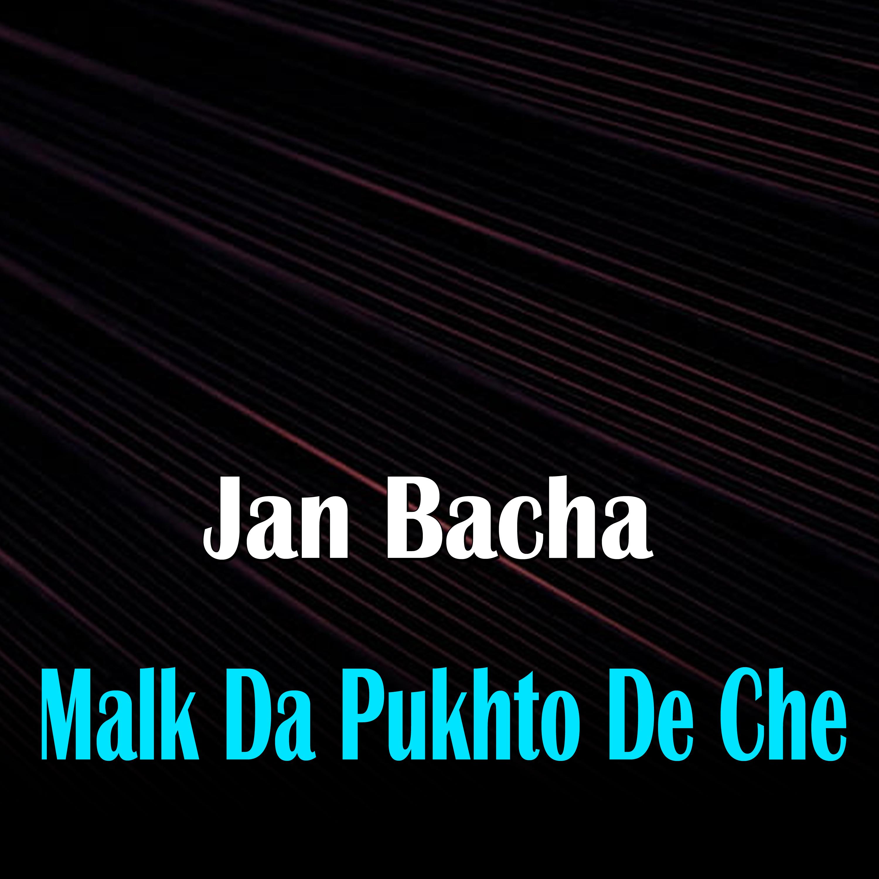 Постер альбома Malk Da Pukhto De Che