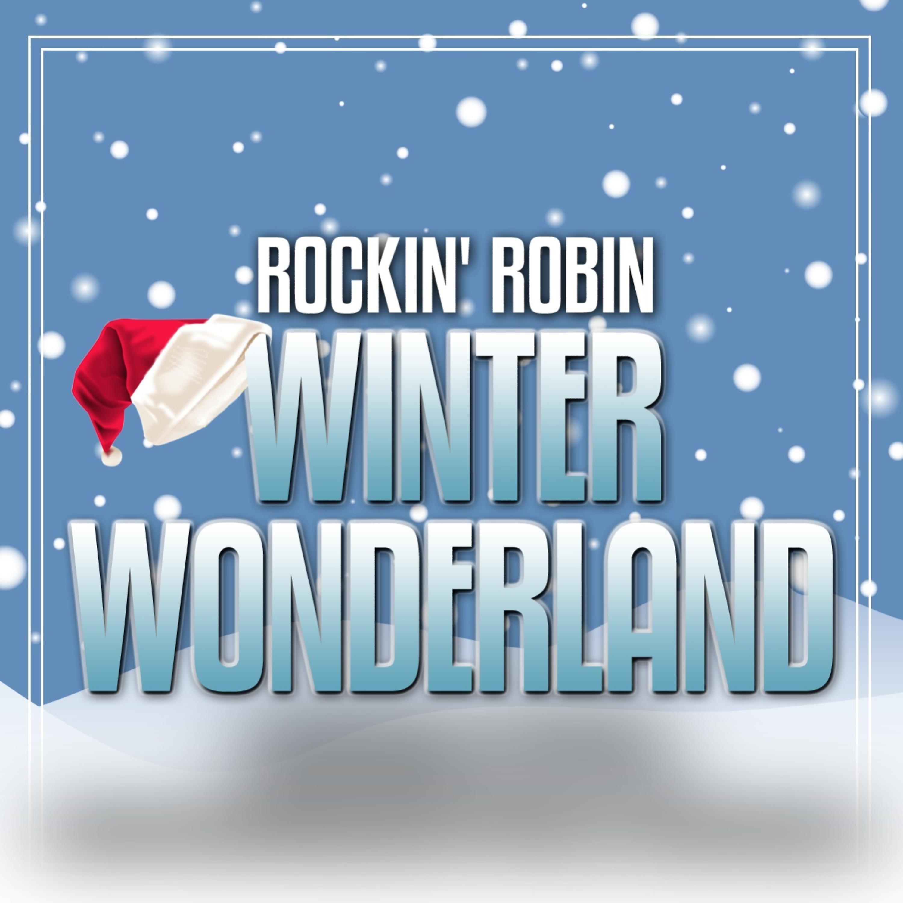 Постер альбома Winter Wonderland