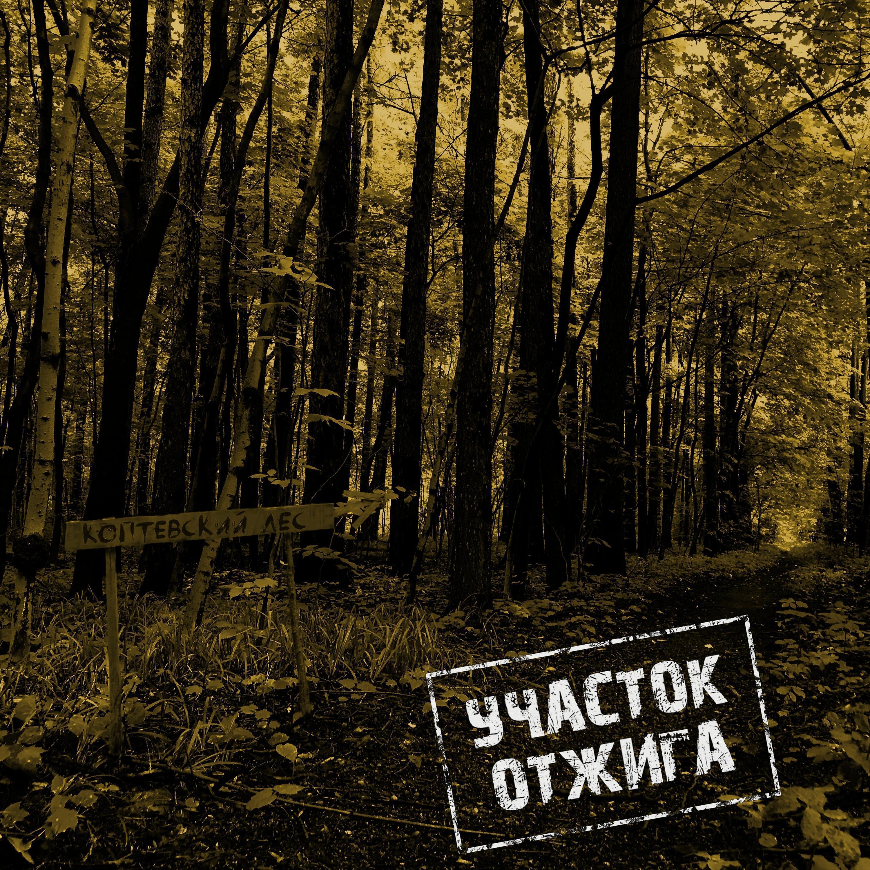Постер альбома Коптевский лес