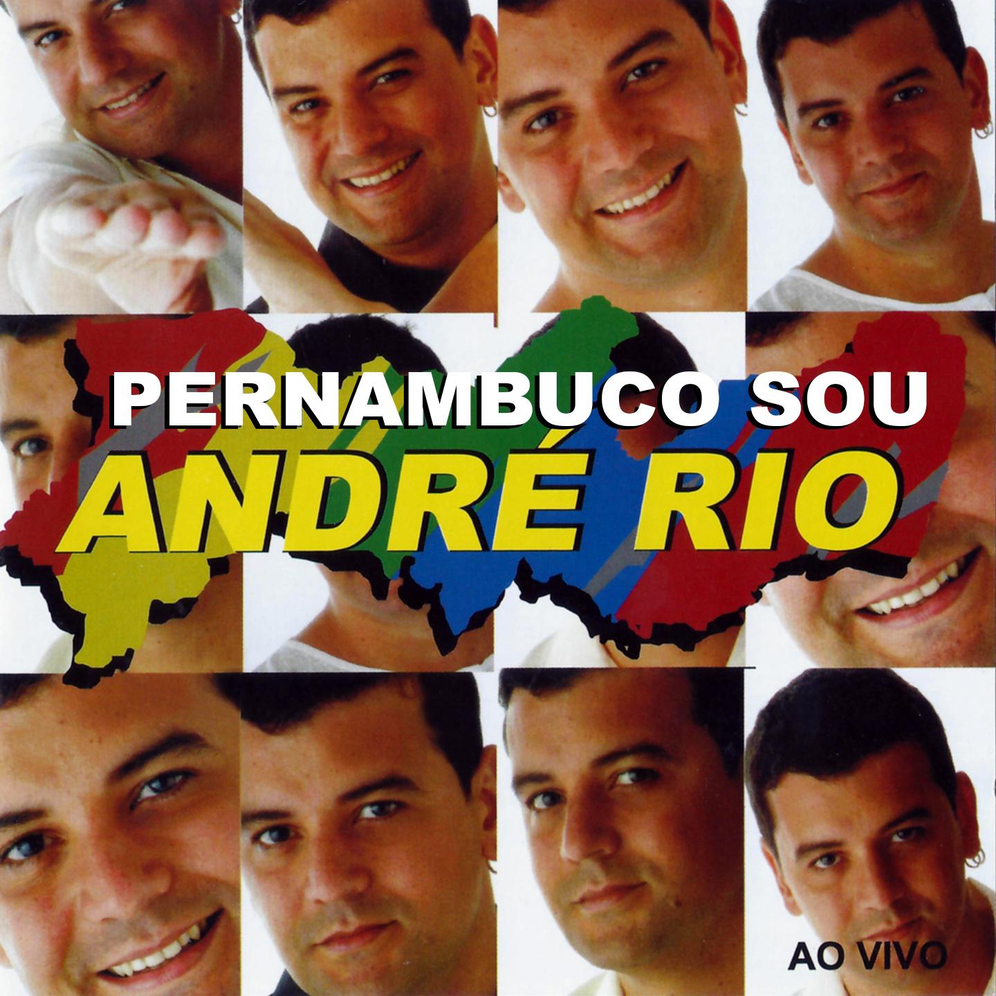 Постер альбома Pernambuco Sou