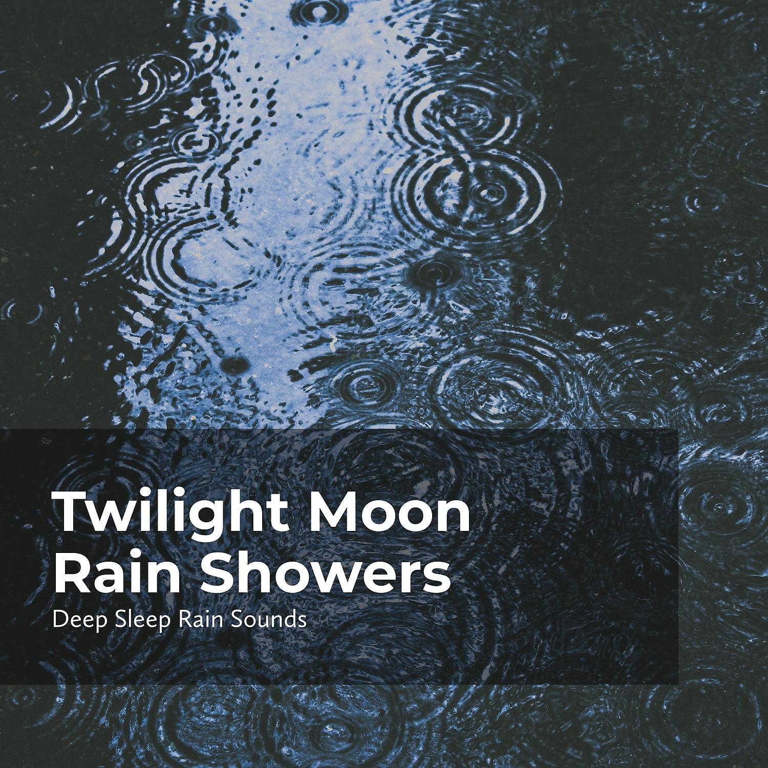 Постер альбома Twilight Moon Rain Showers