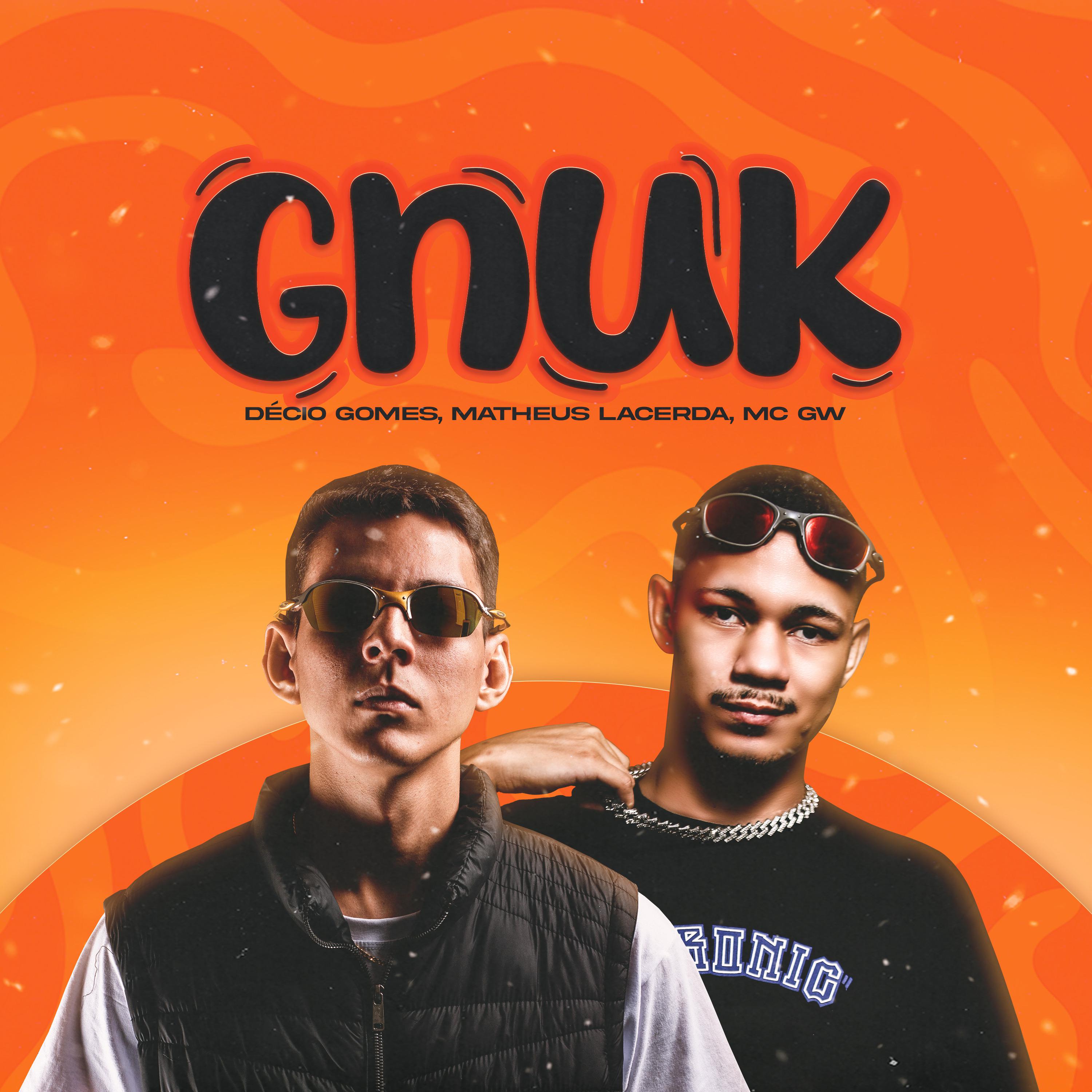 Постер альбома Gnuk