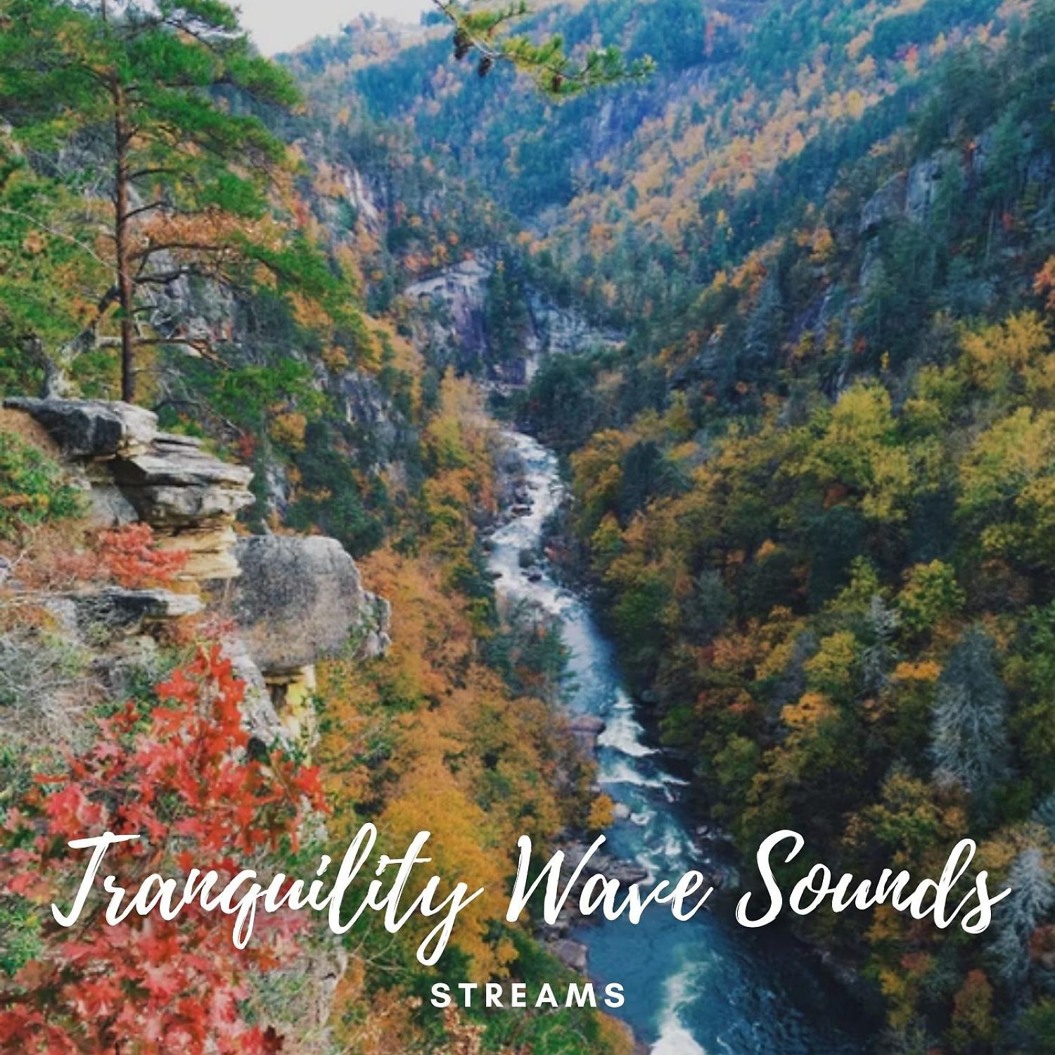 Постер альбома Streams: Tranquility Wave Sounds