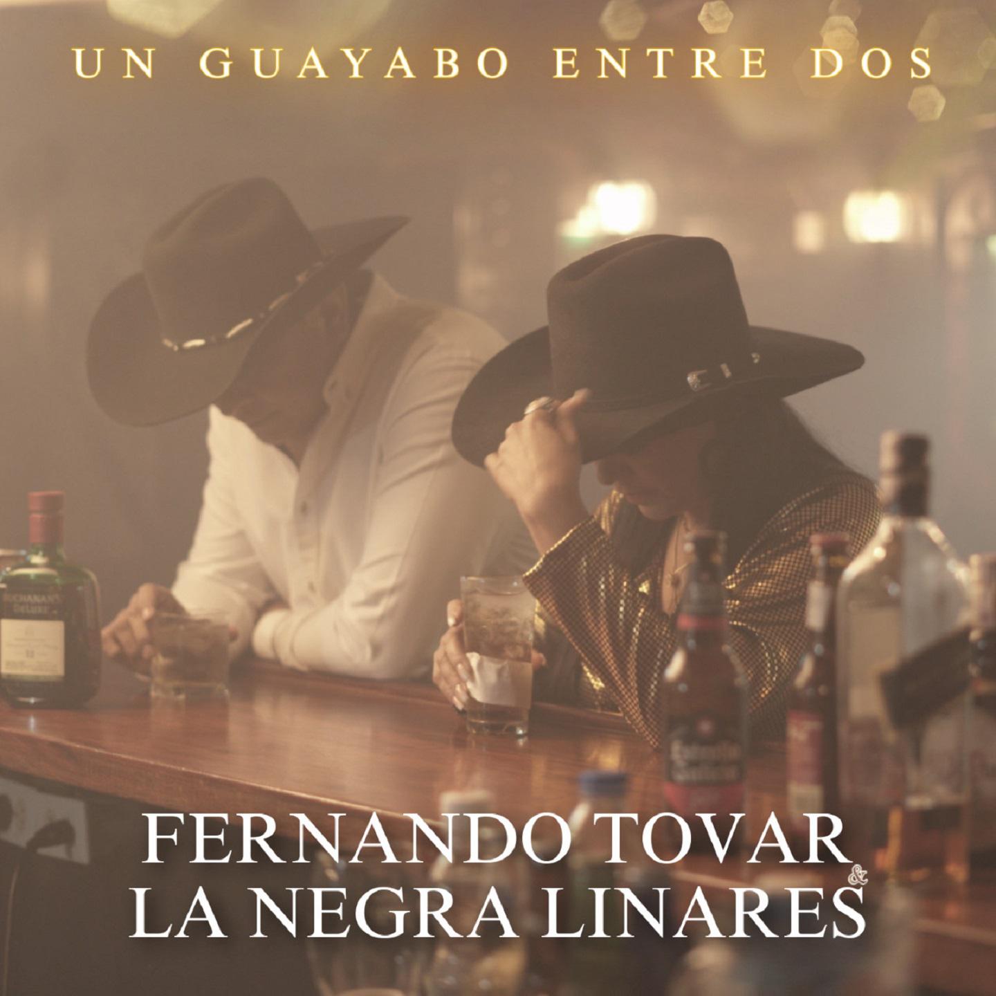 Постер альбома Un Guayabo entre Dos