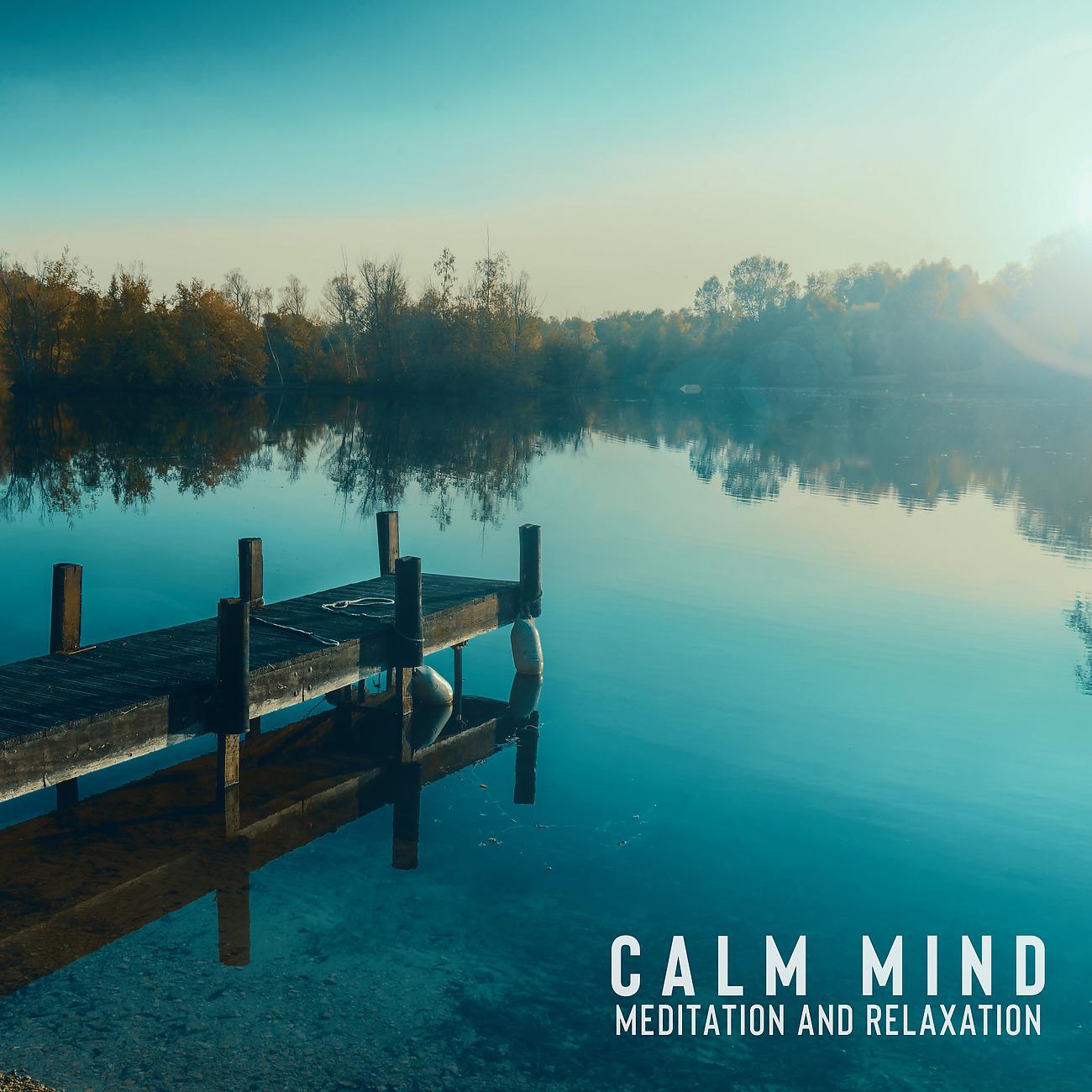 Постер альбома Calm Mind