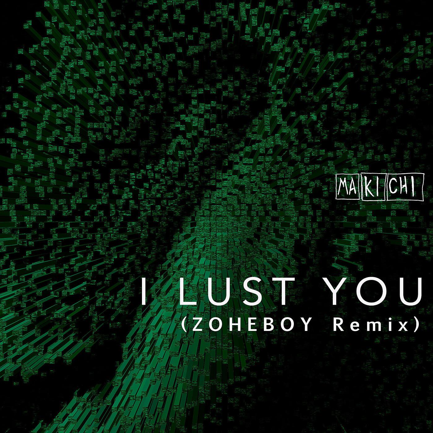 Постер альбома I Lust You (Zoheboy Remix)