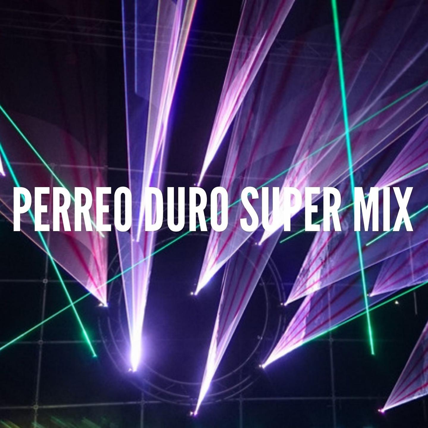 Постер альбома Perreo Duro Super Mix