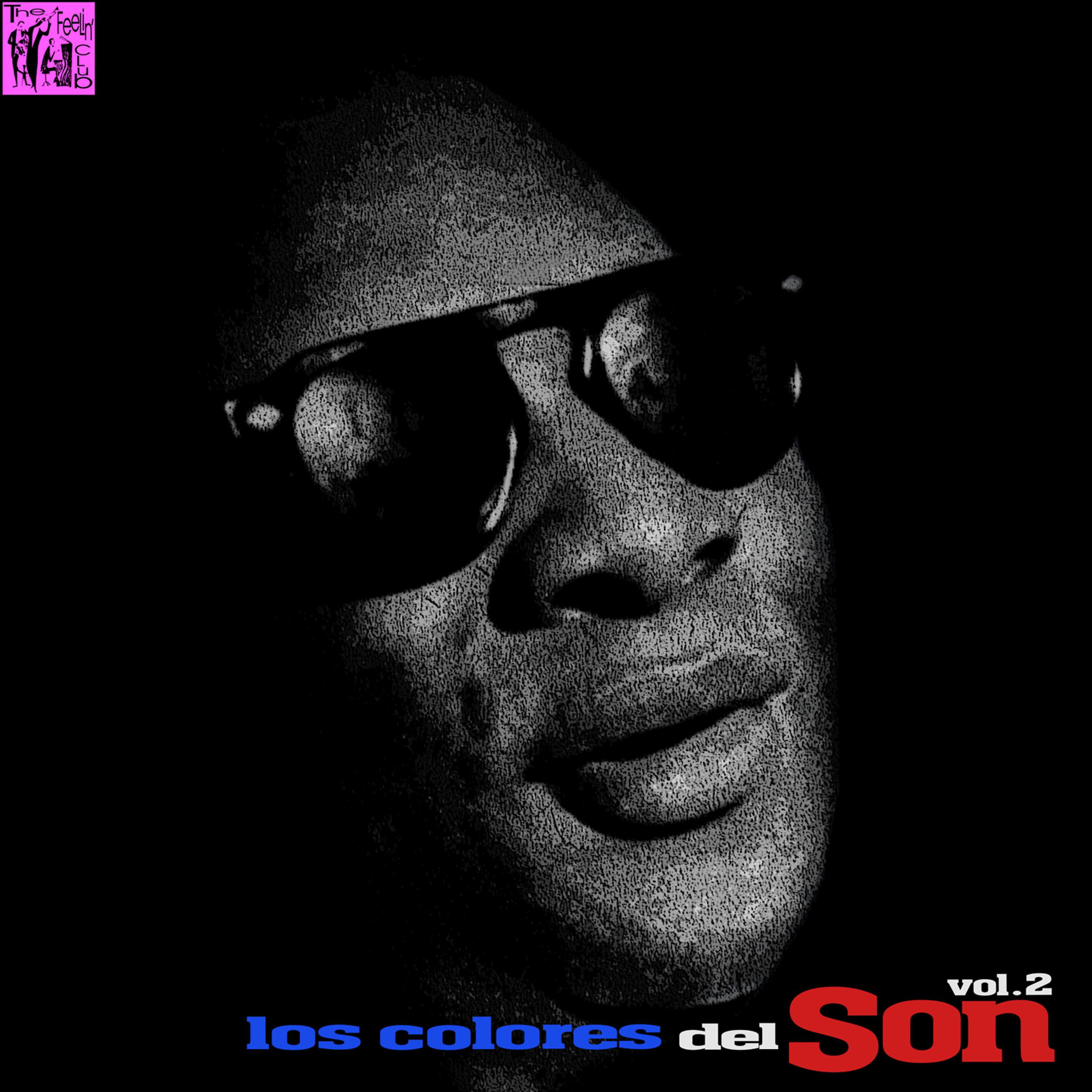 Постер альбома Los Colores del Son, Vol.2
