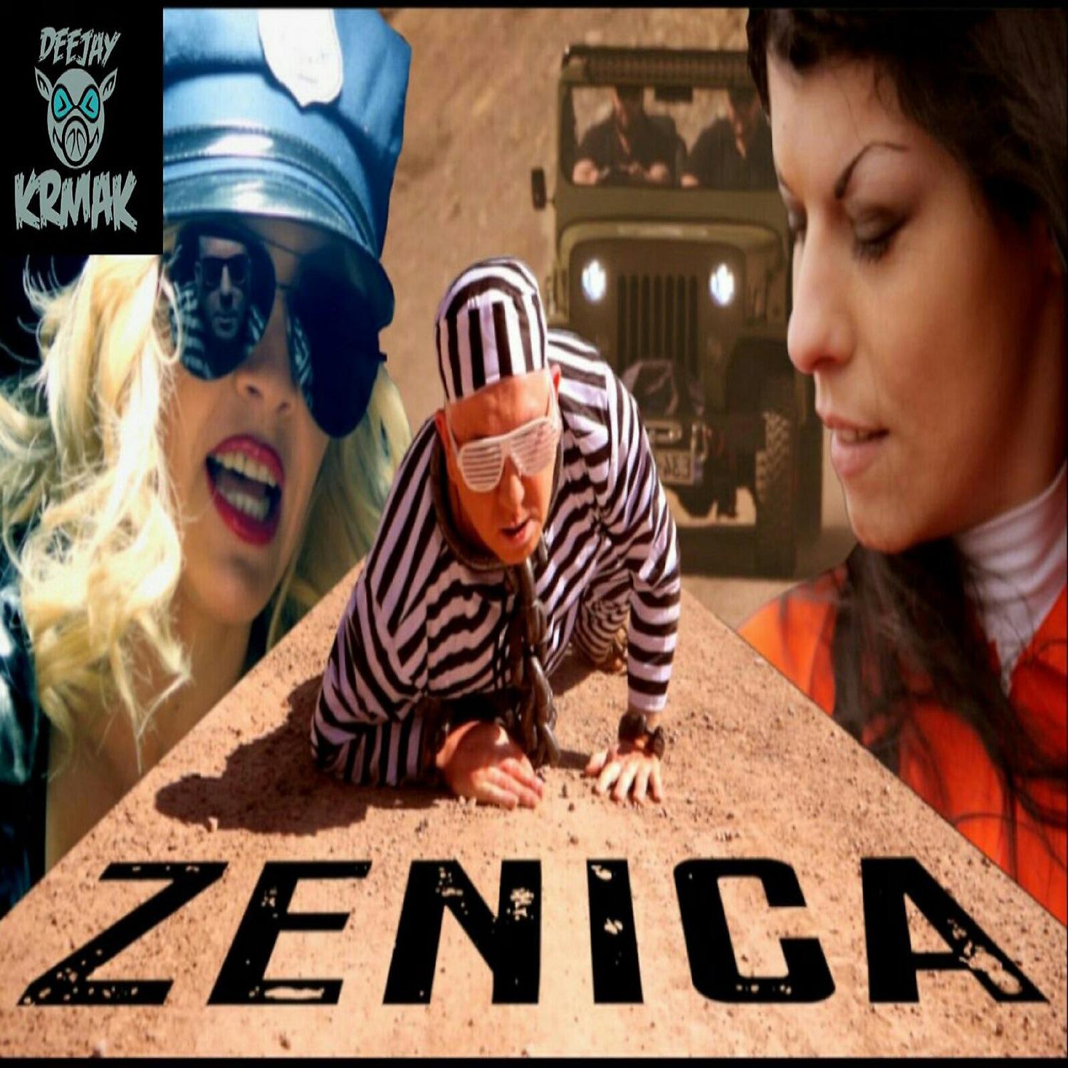 Постер альбома Zenica