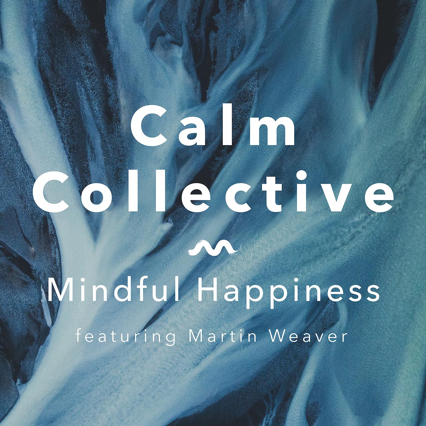 Постер альбома Mindful Happiness