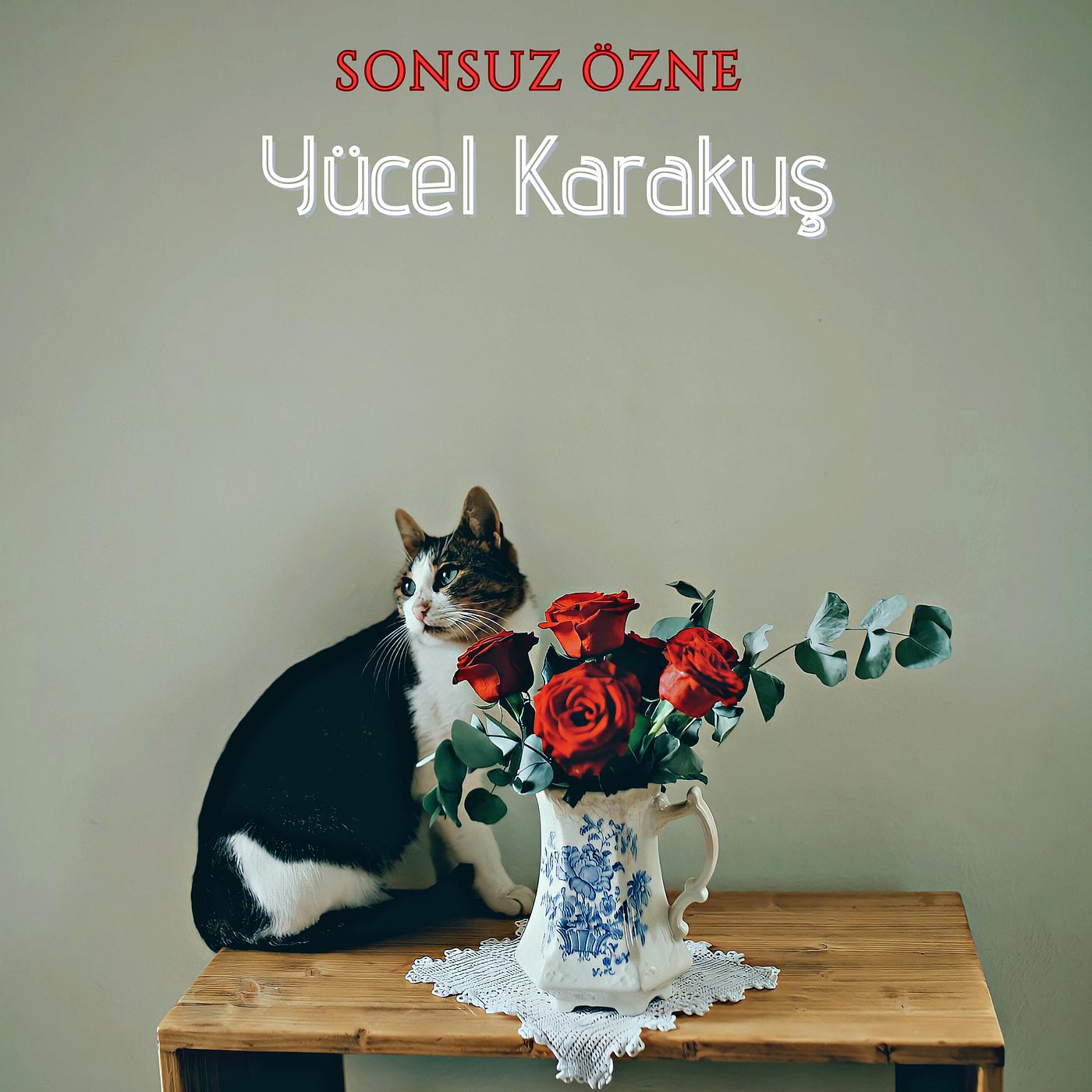 Постер альбома Sonsuz Özne