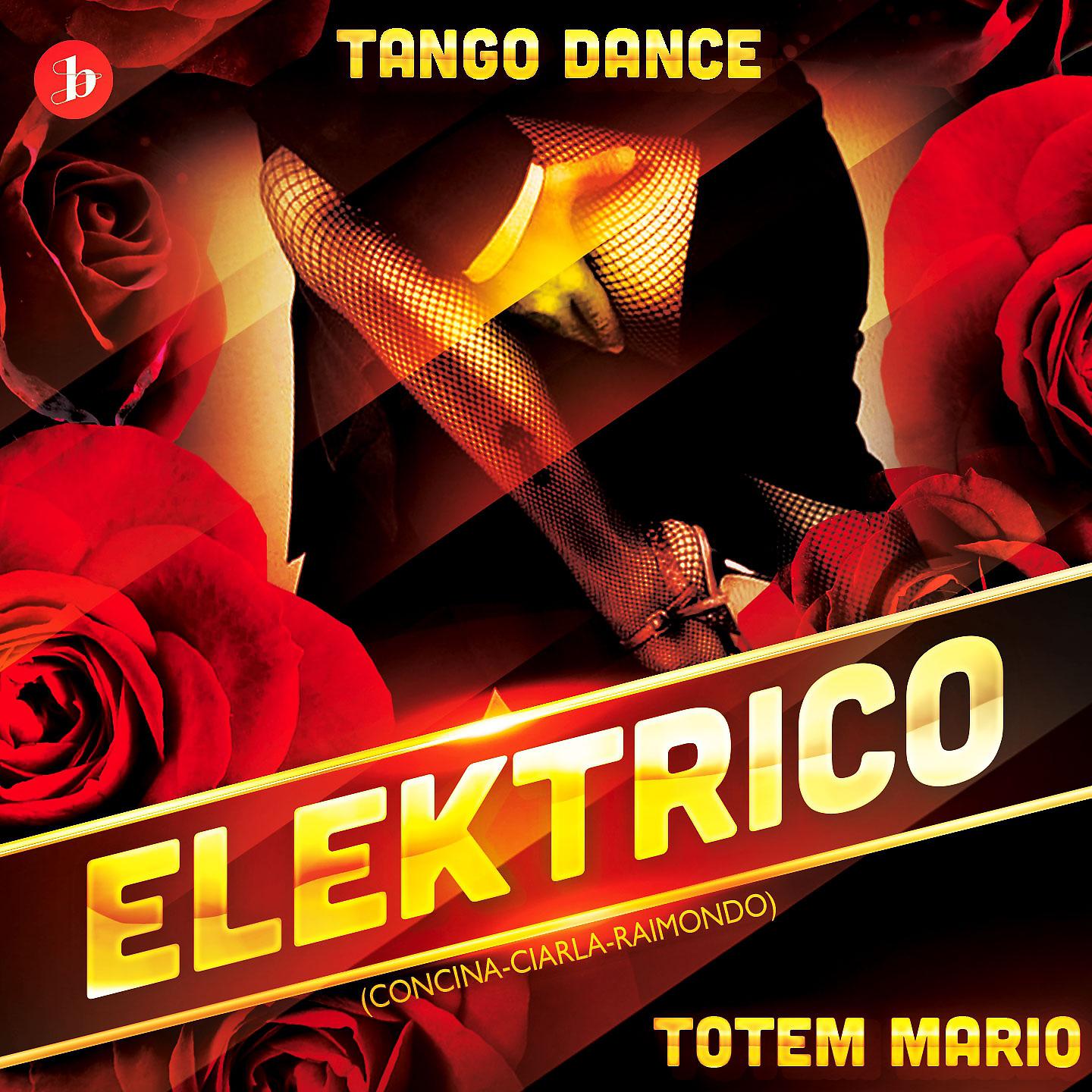 Постер альбома Elektrico