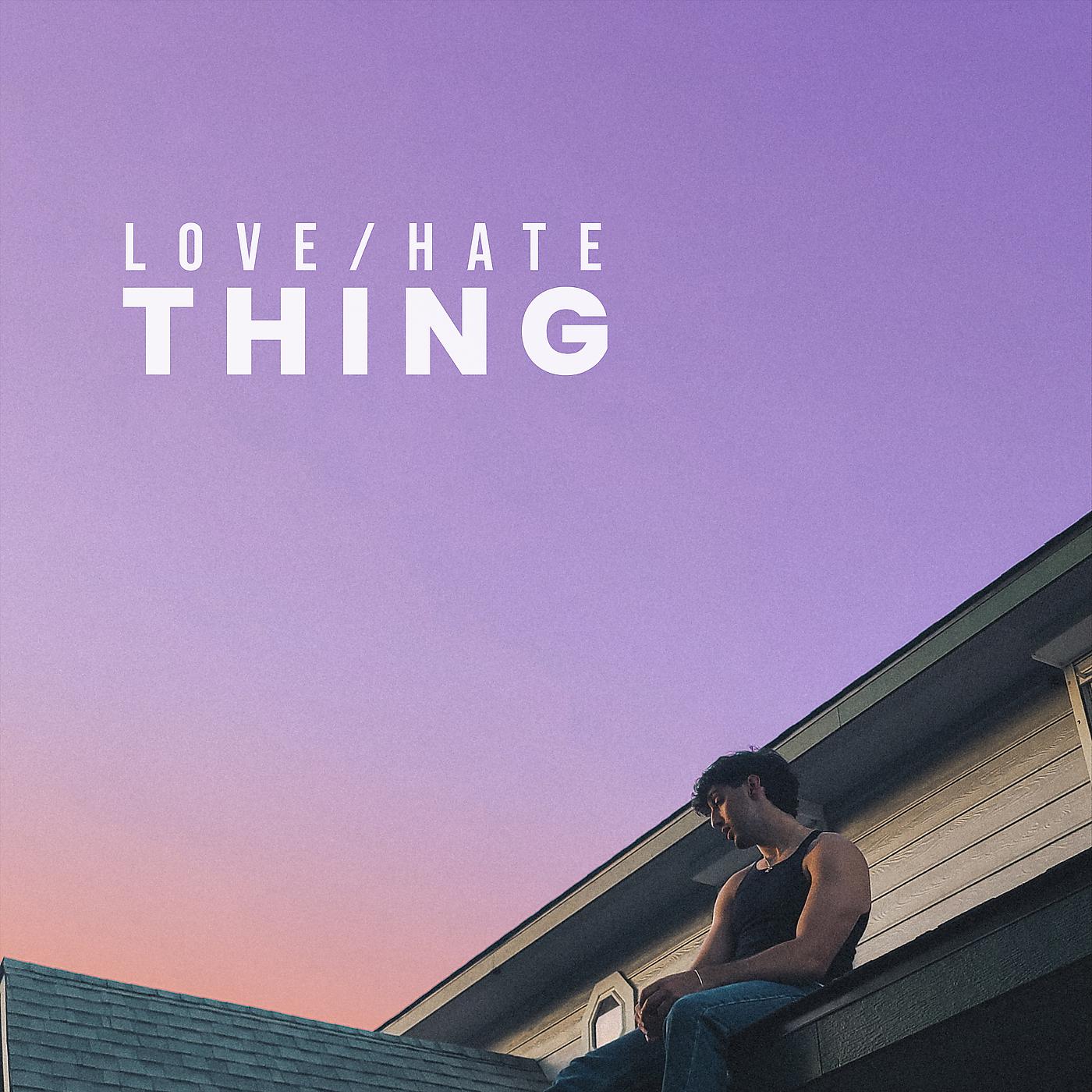 Постер альбома Love / Hate Thing