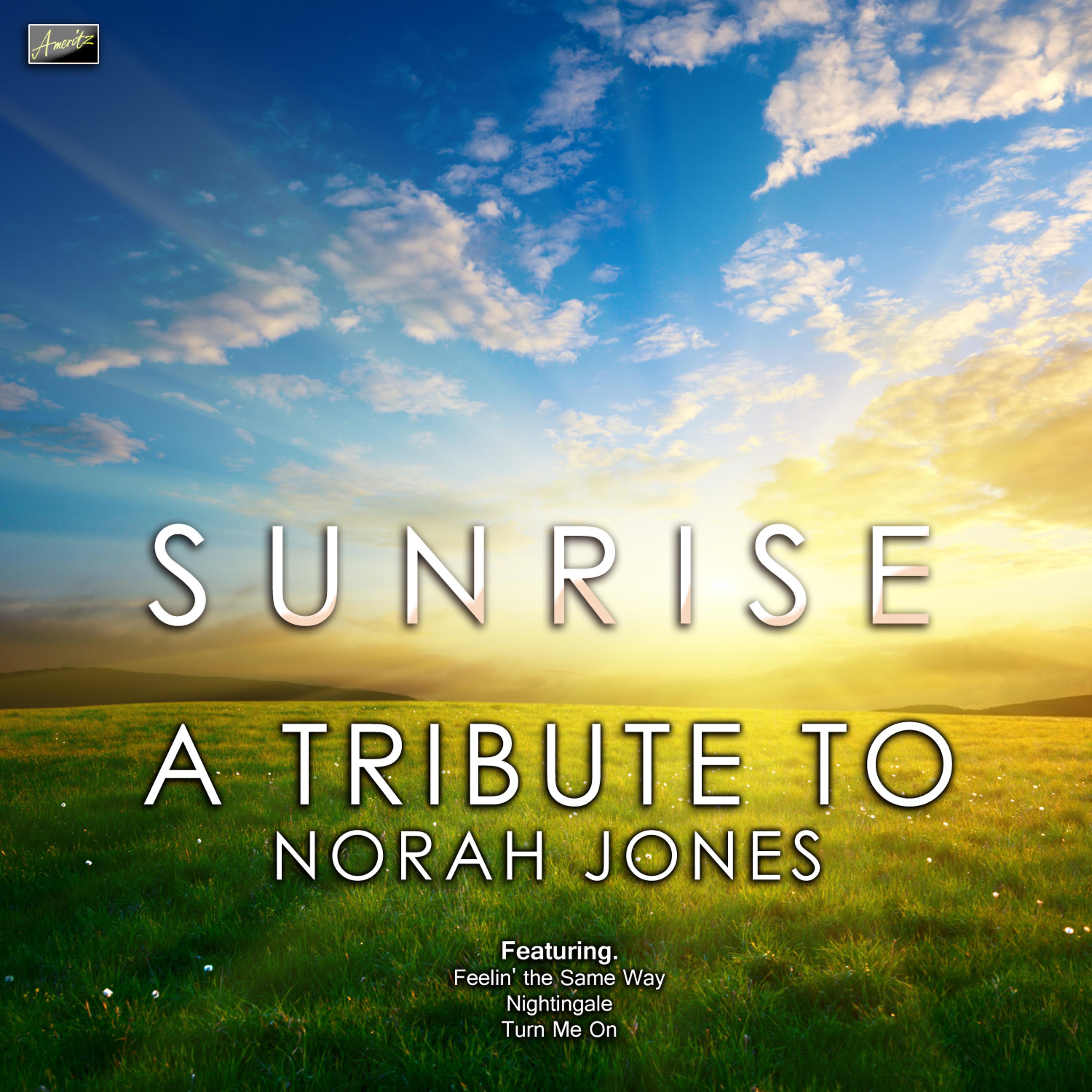 Постер альбома Sunrise - A Tribute to Norah Jones