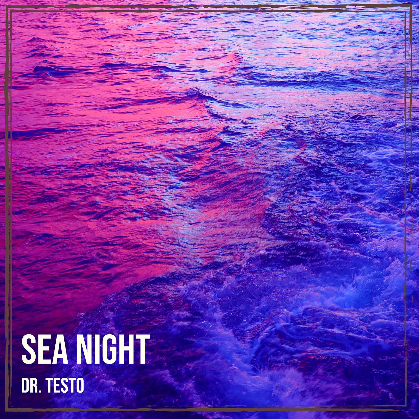 Постер альбома Sea Night