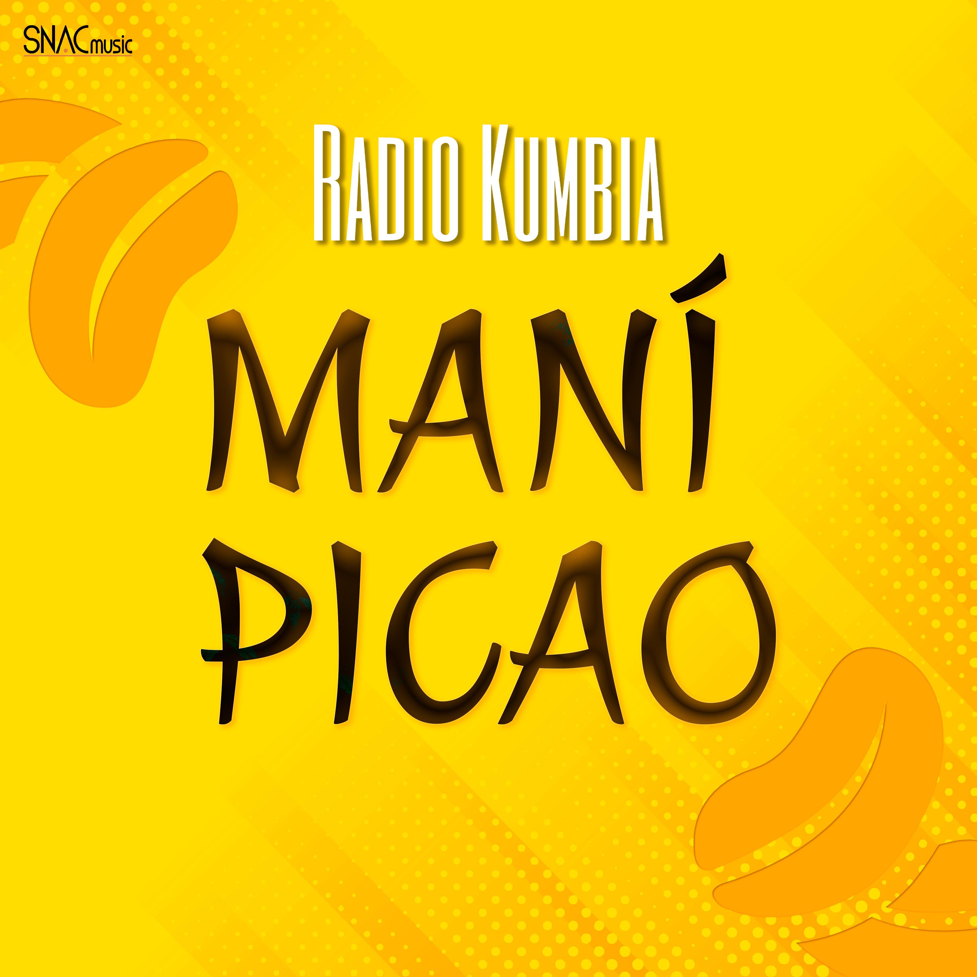 Постер альбома Maní Picao